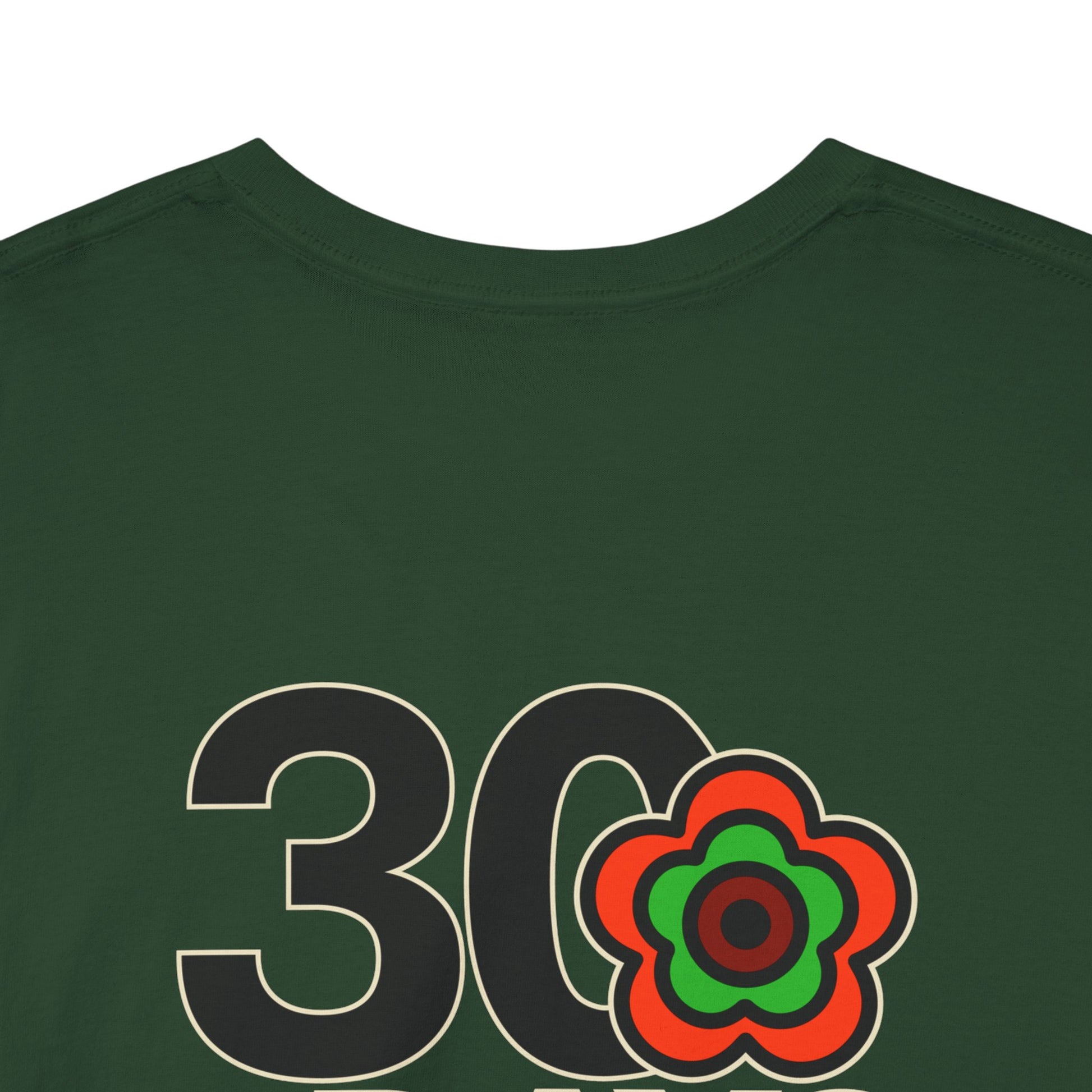 P🌺🌺P2Poppies 30 Days Sober – Motivational Recovery T-Shirt