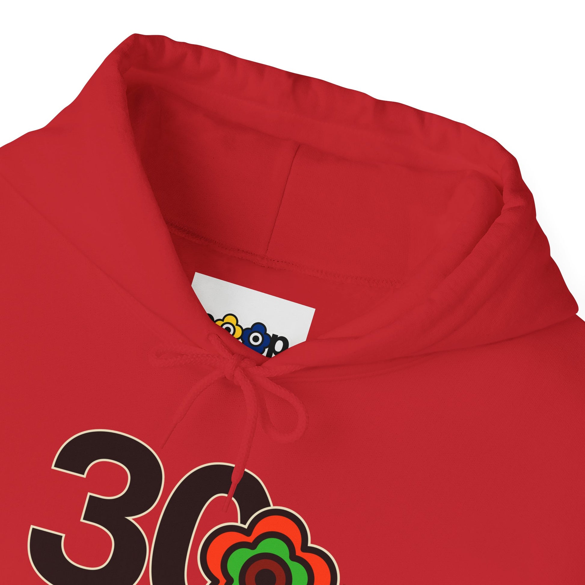 P🌺🌺P2Poppies 30 Days Sober Hoodie – Recovery Milestone Sweatshirt