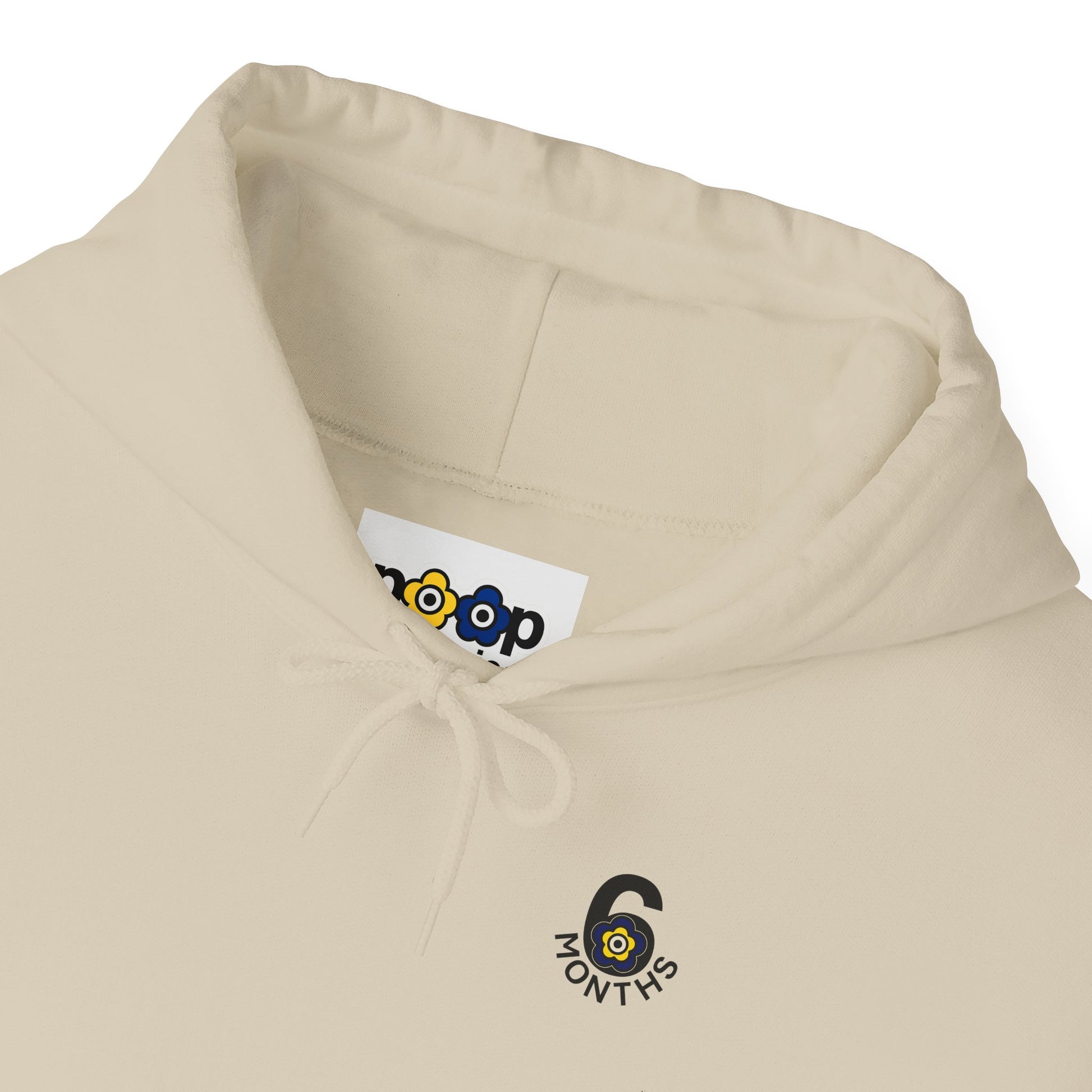 P🌺🌺P2Poppies 6 Months Sober Hoodie – Recovery Milestone Sweatshirt