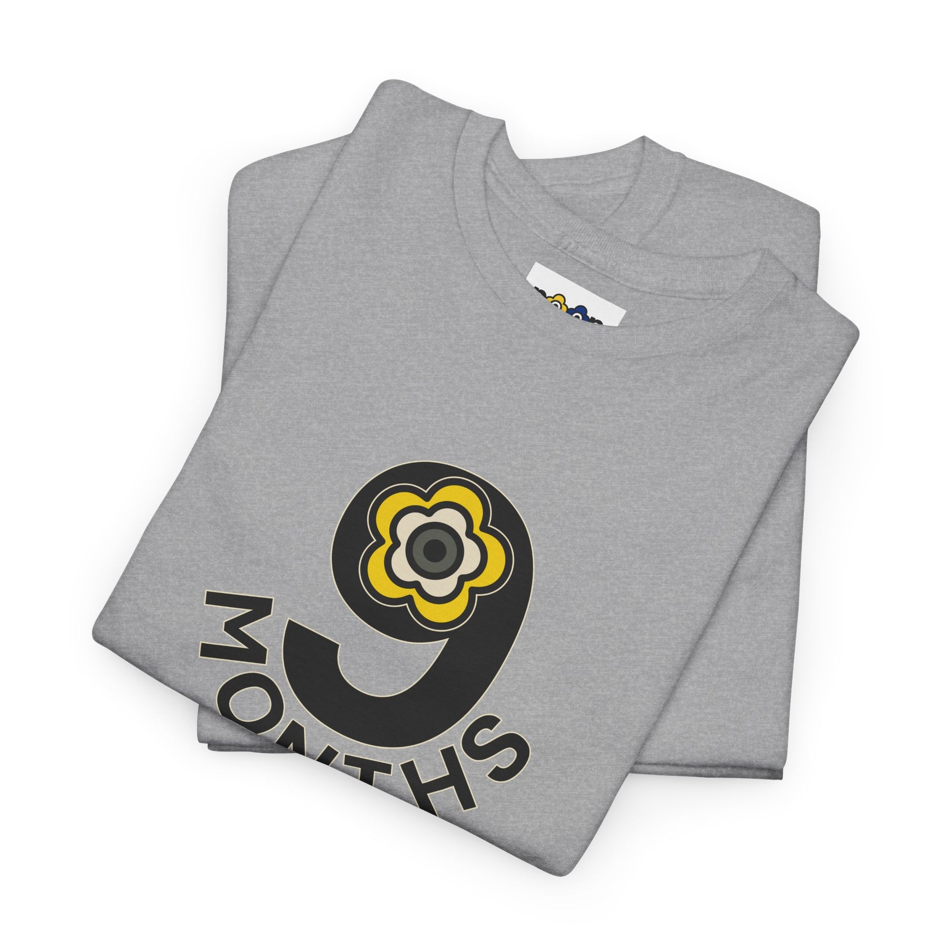 P🌺🌺P2Poppies 9 Months Sober – Motivational Recovery T-Shirt