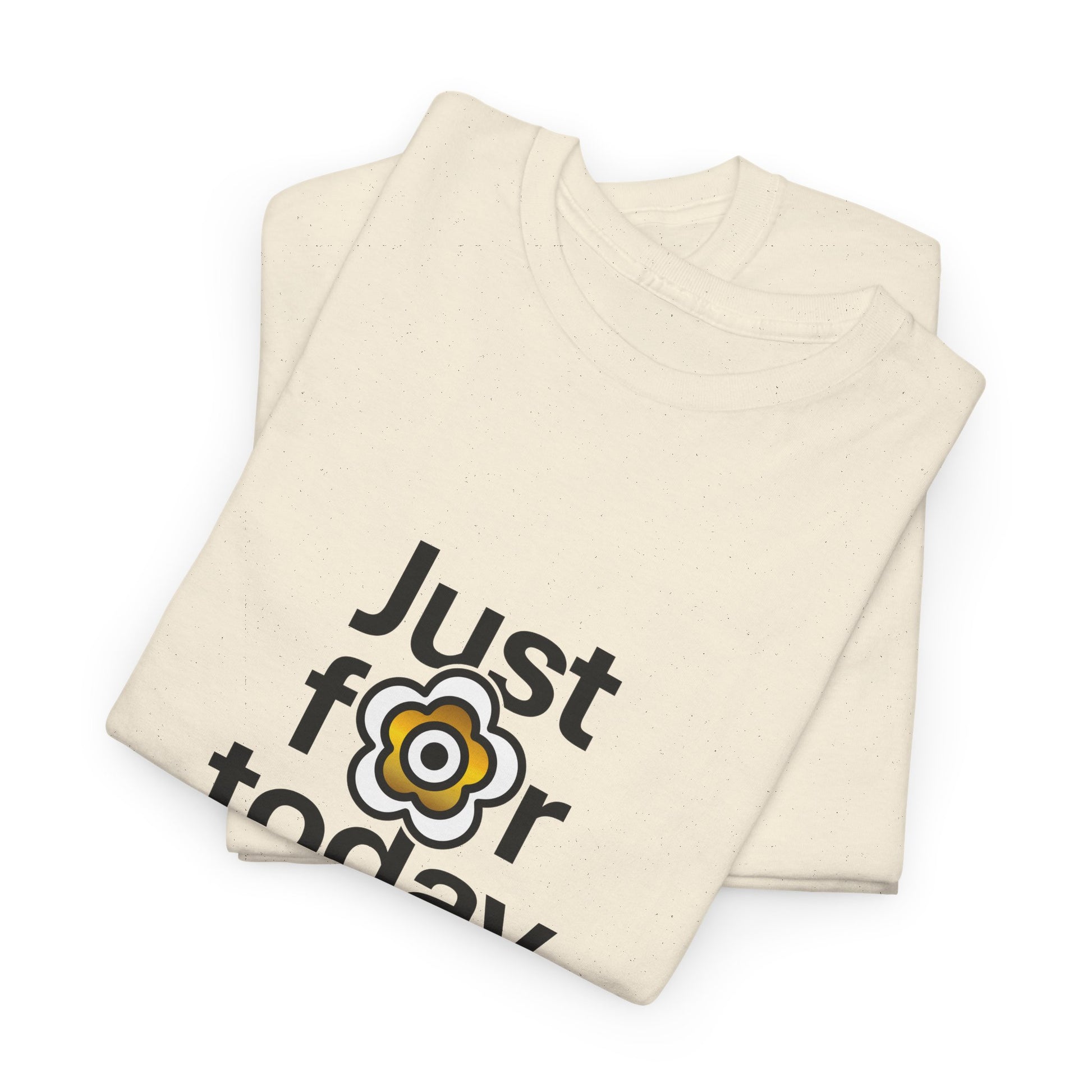 P🌺🌺P2Poppies Just for Today – Motivational Recovery T-Shirt