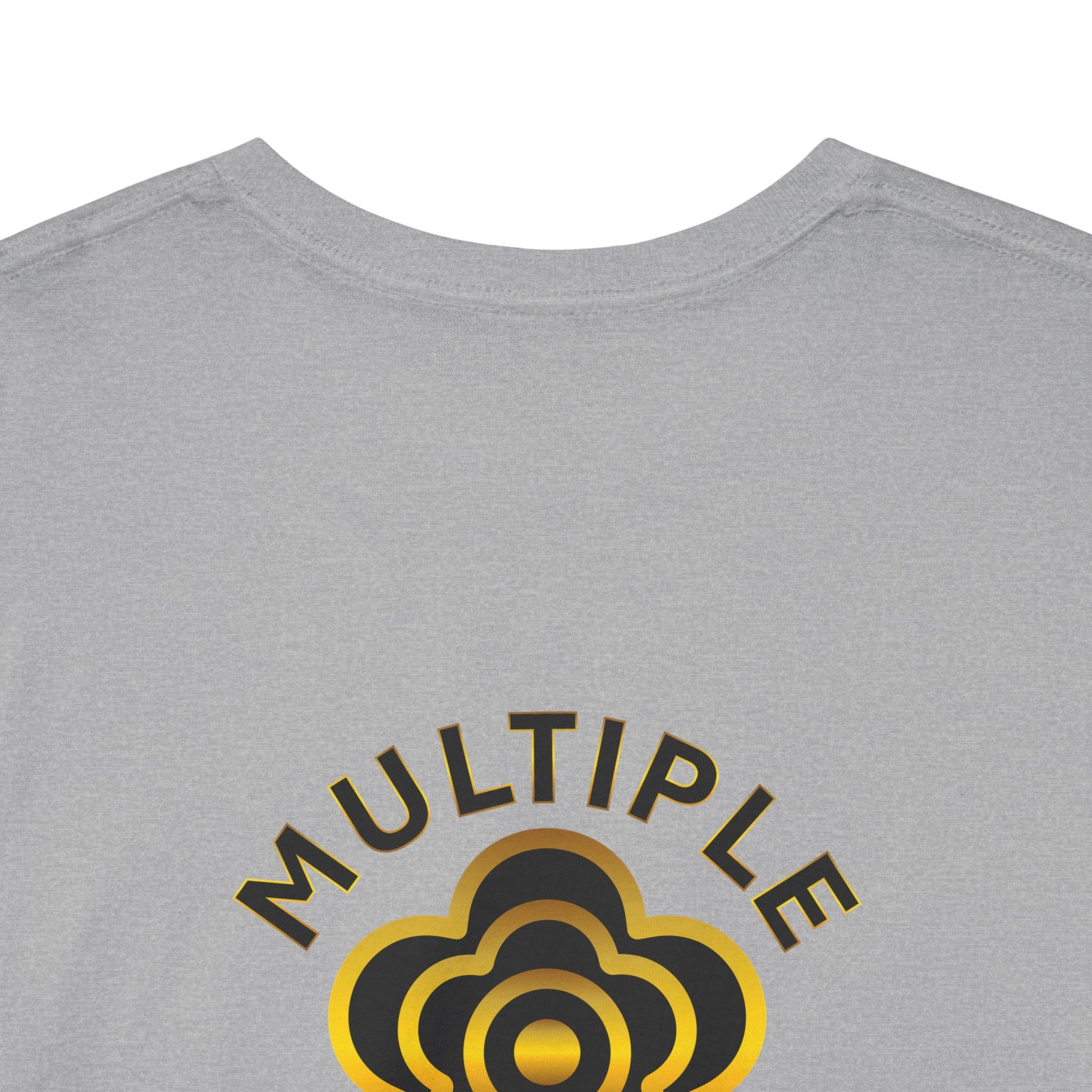 P🌺🌺P2Poppies Multiple Years Sober – Motivational Recovery T-Shirt