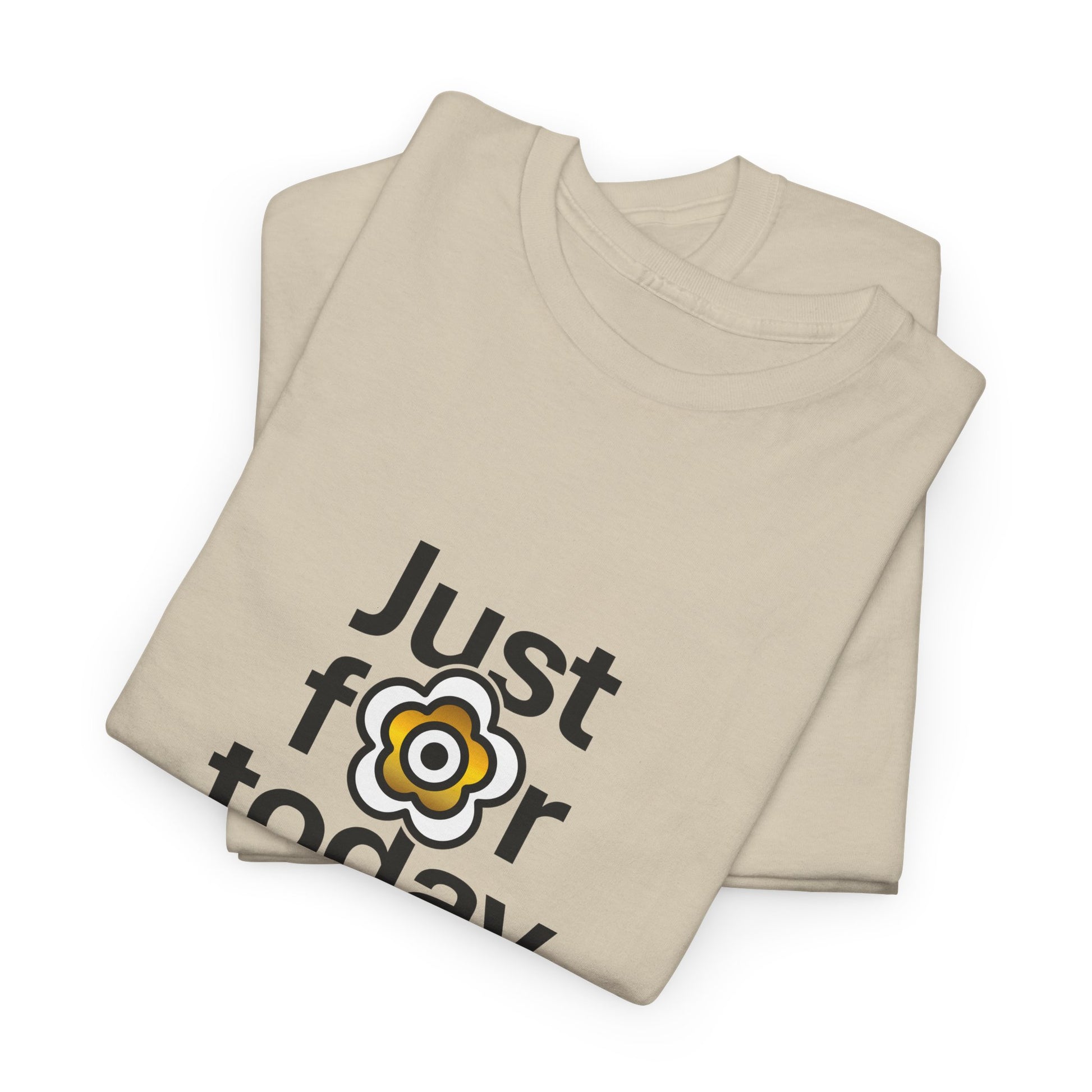 P🌺🌺P2Poppies Just for Today – Motivational Recovery T-Shirt