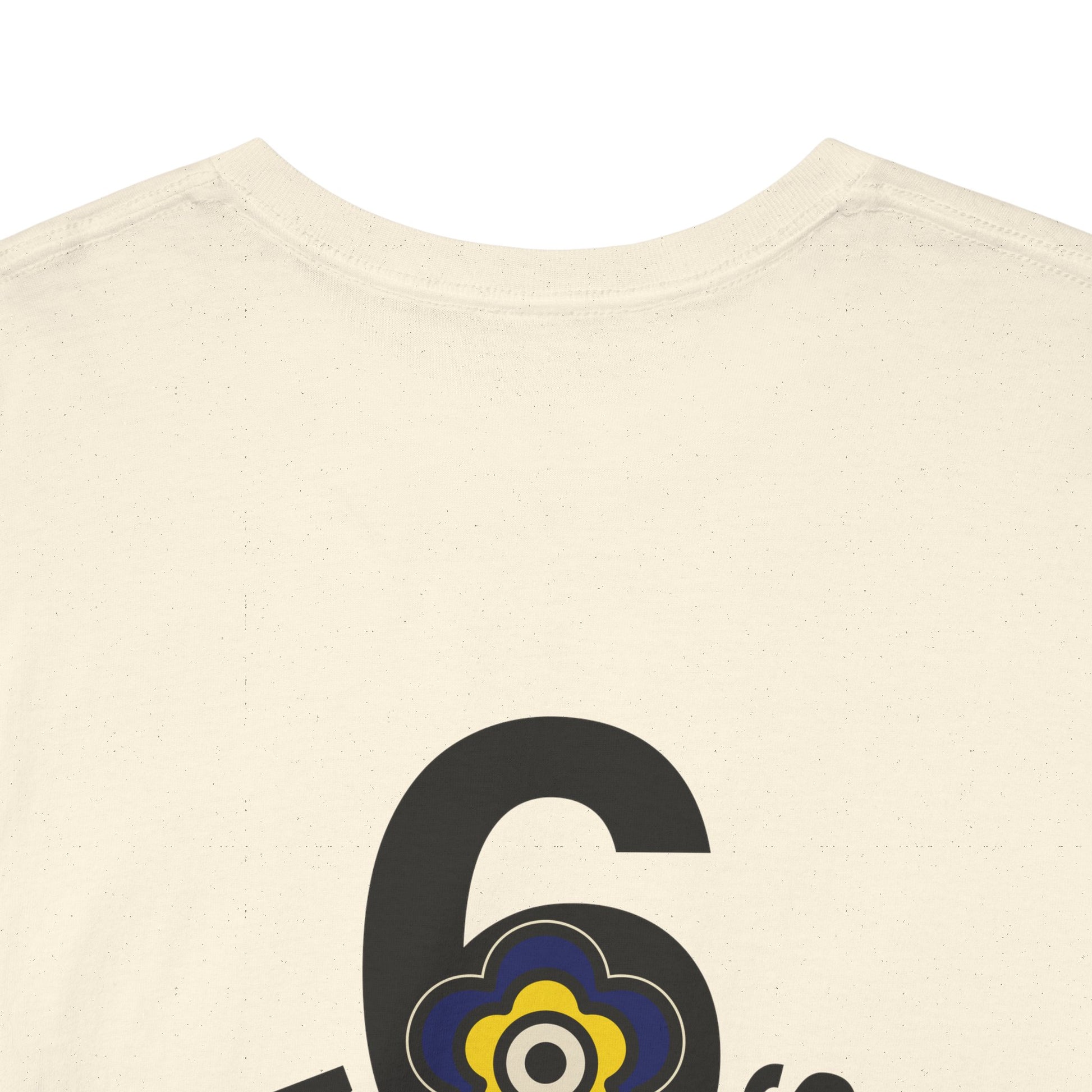 P🌺🌺P2Poppies 6 Months Sober – Motivational Recovery T-Shirt