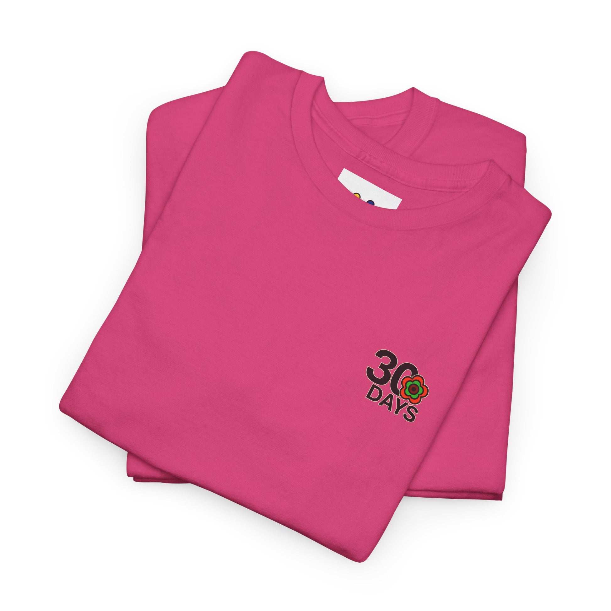 P🌺🌺P2Poppies 30 Days Sober – Motivational Recovery T-Shirt