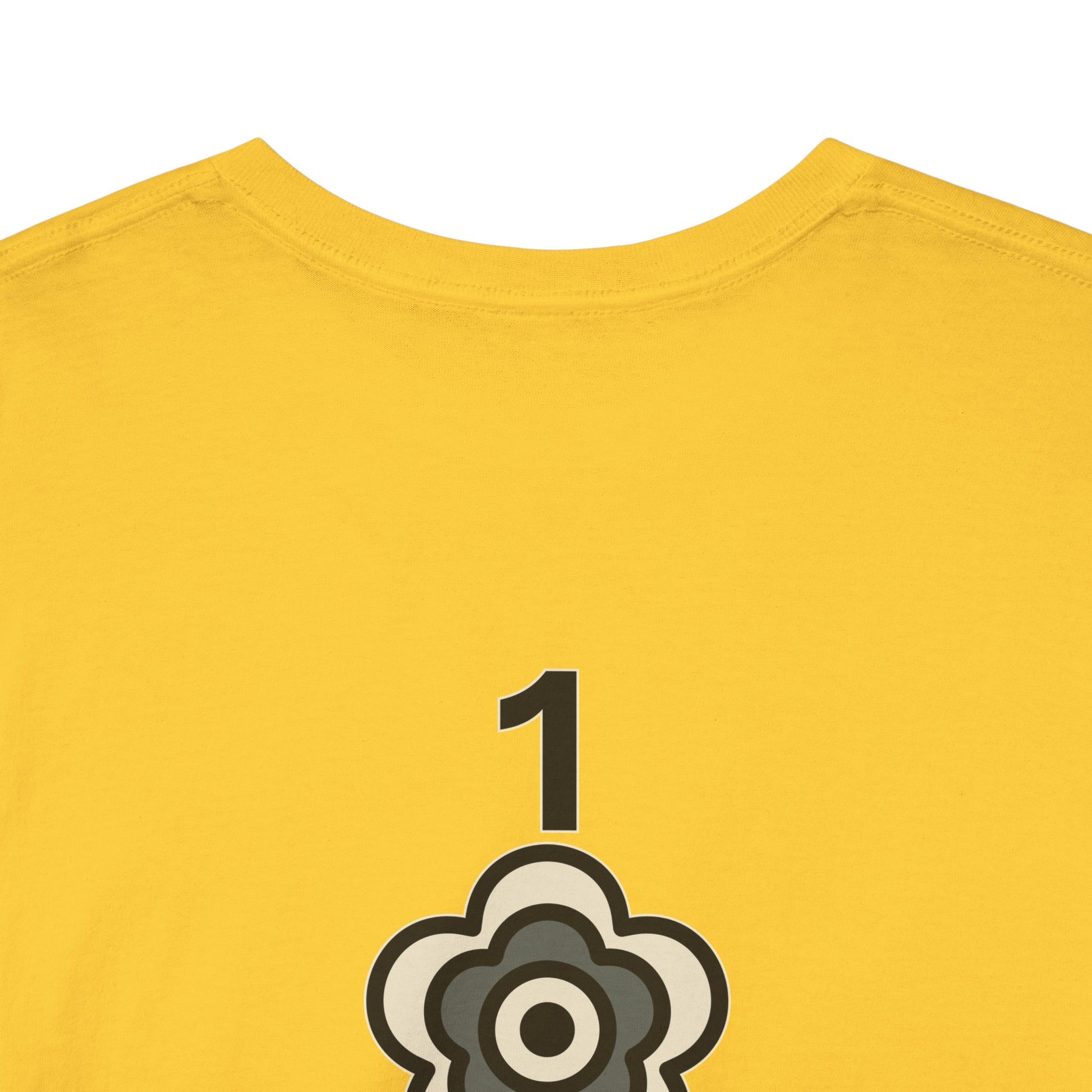 P🌺🌺P2Poppies 1 Year Sober – Motivational Recovery T-Shirt