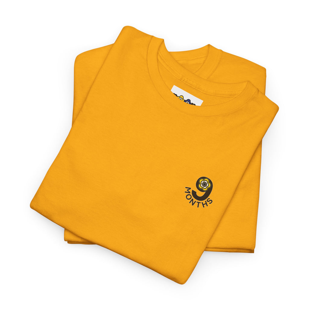 P🌺🌺P2Poppies 9 Months Sober – Motivational Recovery T-Shirt