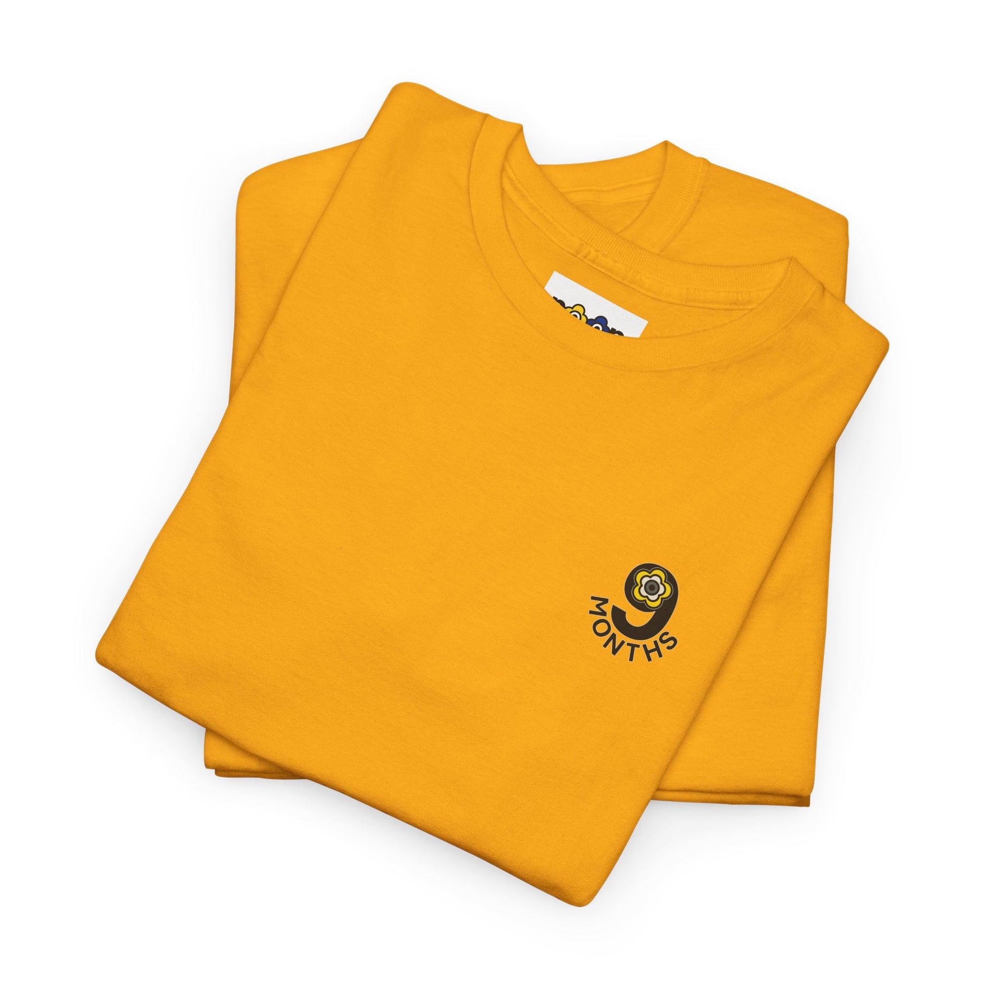 P🌺🌺P2Poppies 9 Months Sober – Motivational Recovery T-Shirt