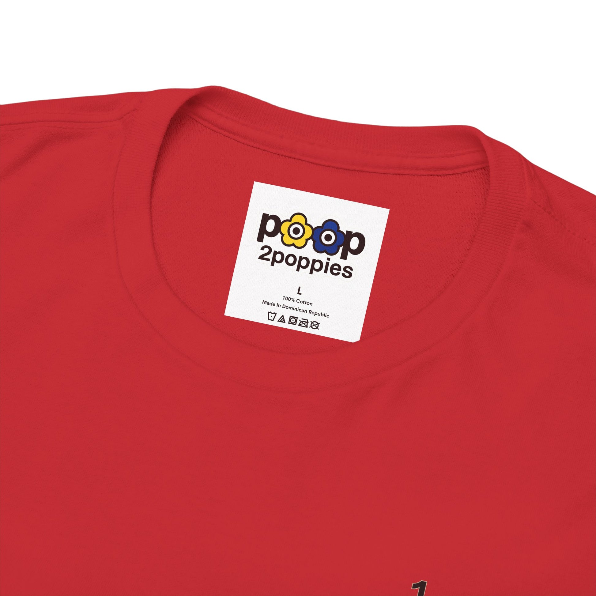 P🌺🌺P2Poppies 1 Year Sober – Motivational Recovery T-Shirt