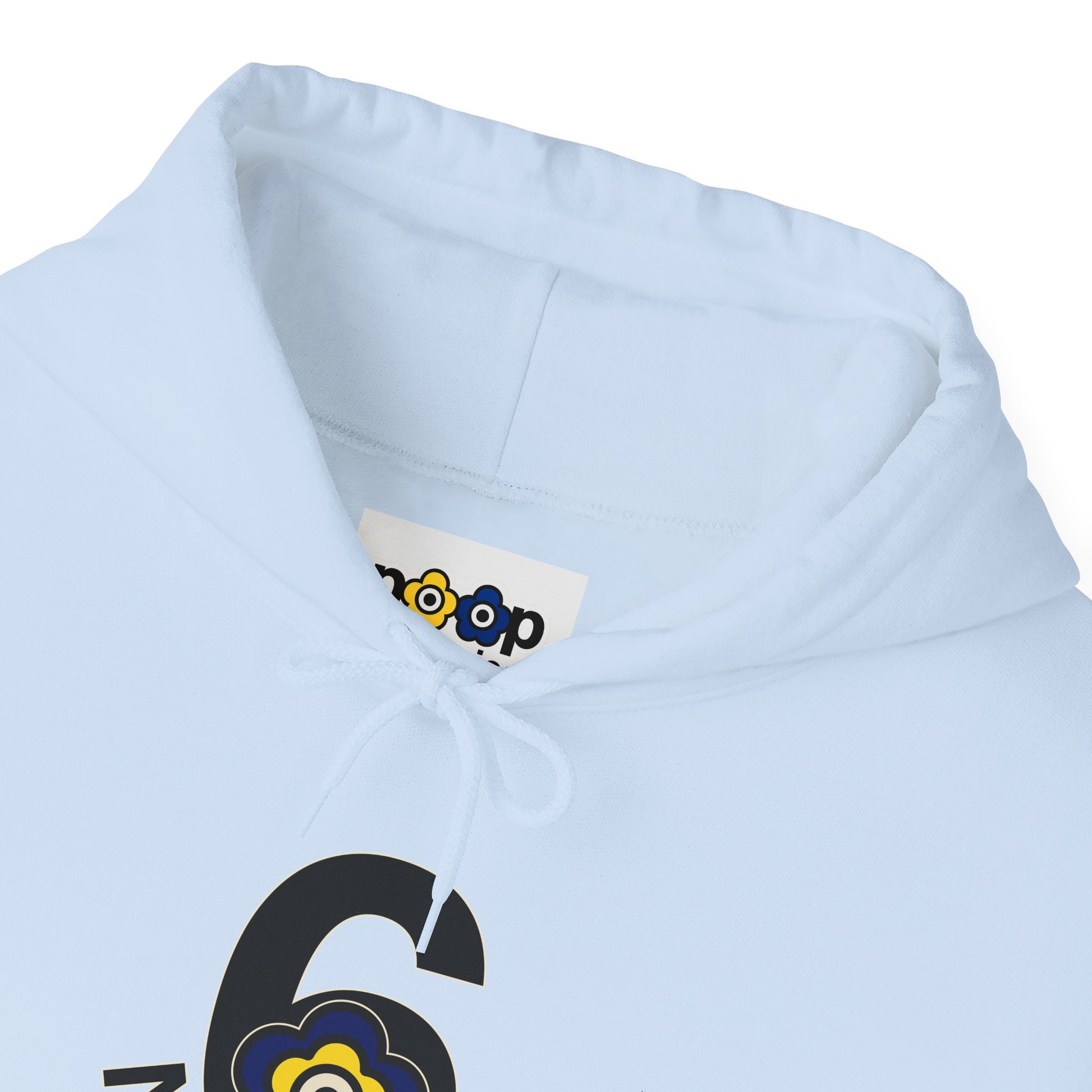 P🌺🌺P2Poppies 6 Months Sober Hoodie – Recovery Milestone Sweatshirt