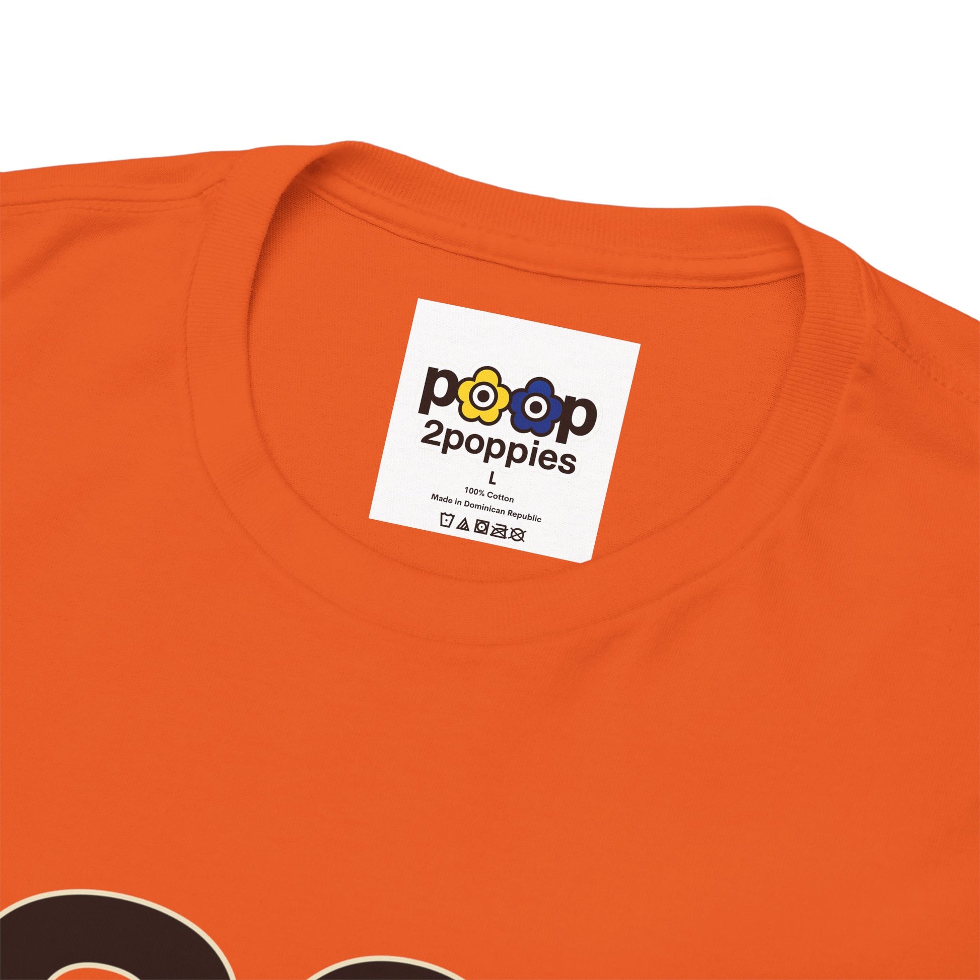 P🌺🌺P2Poppies 30 Days Sober – Motivational Recovery T-Shirt