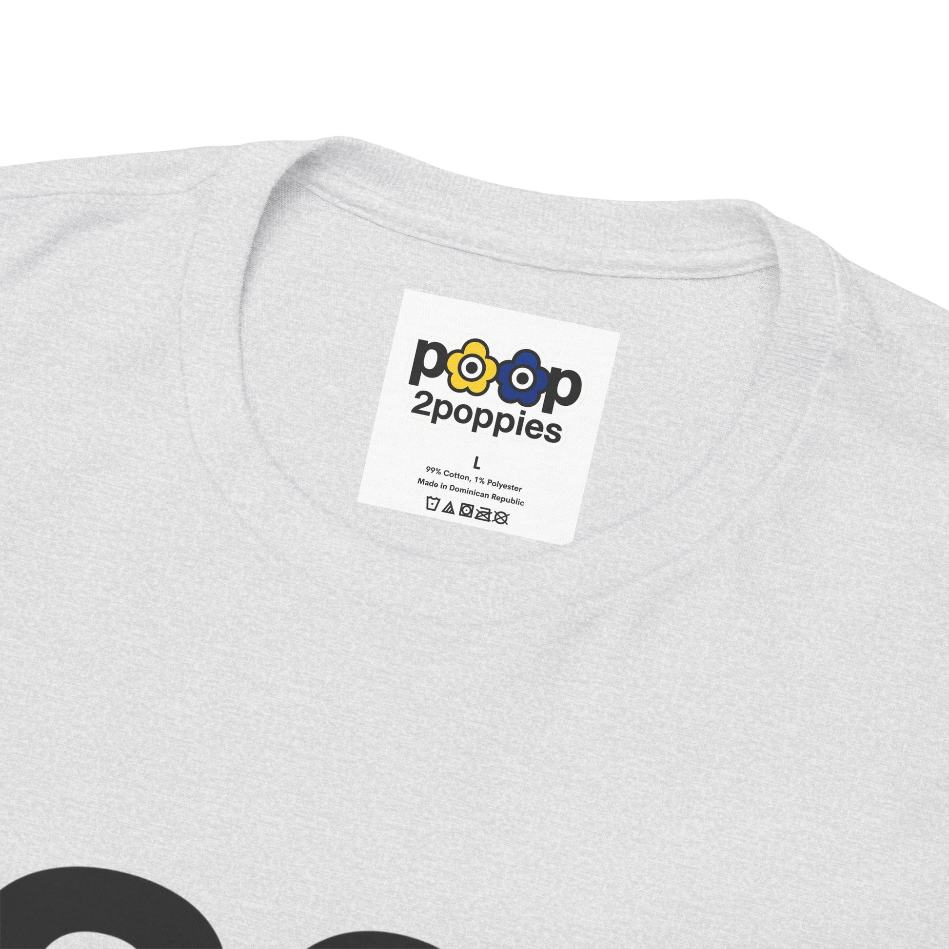 P🌺🌺P2Poppies 30 Days Sober – Motivational Recovery T-Shirt