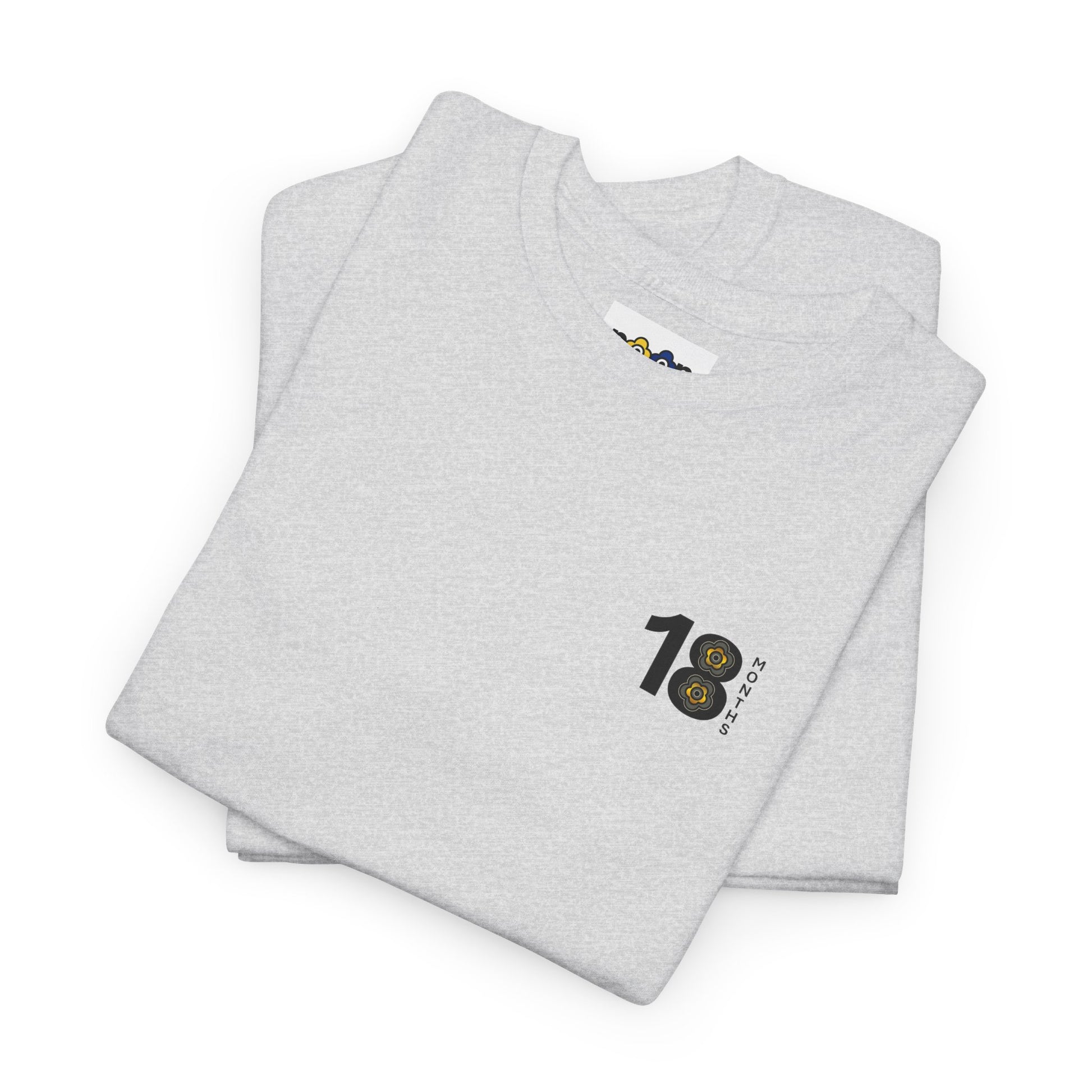 P🌺🌺P2Poppies 18 Months Sober – Motivational Recovery T-Shirt