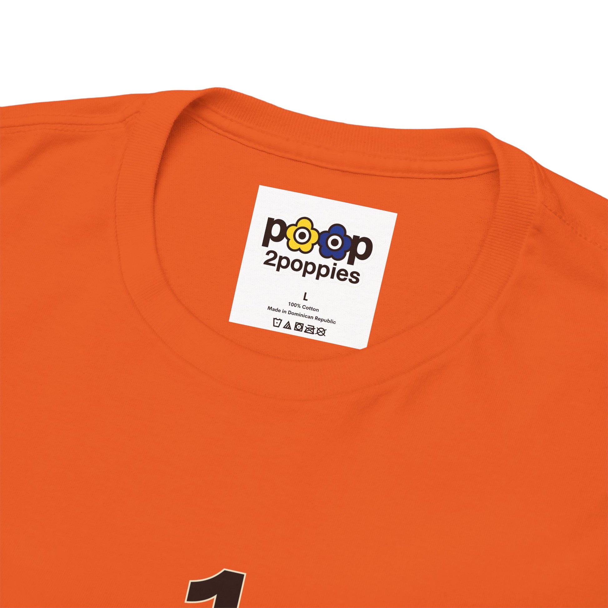 P🌺🌺P2Poppies 1 Year Sober – Motivational Recovery T-Shirt