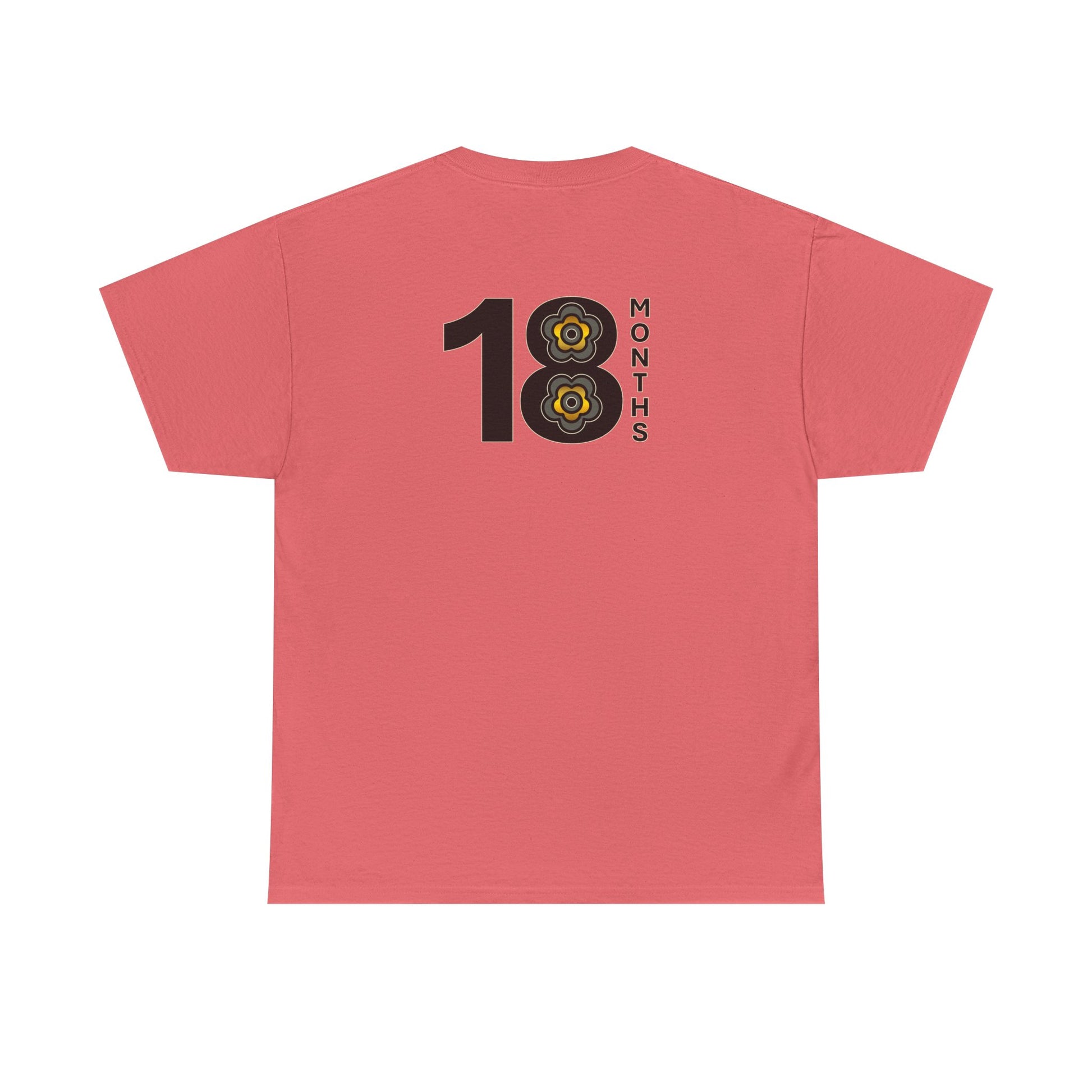 P🌺🌺P2Poppies 18 Months Sober – Motivational Recovery T-Shirt