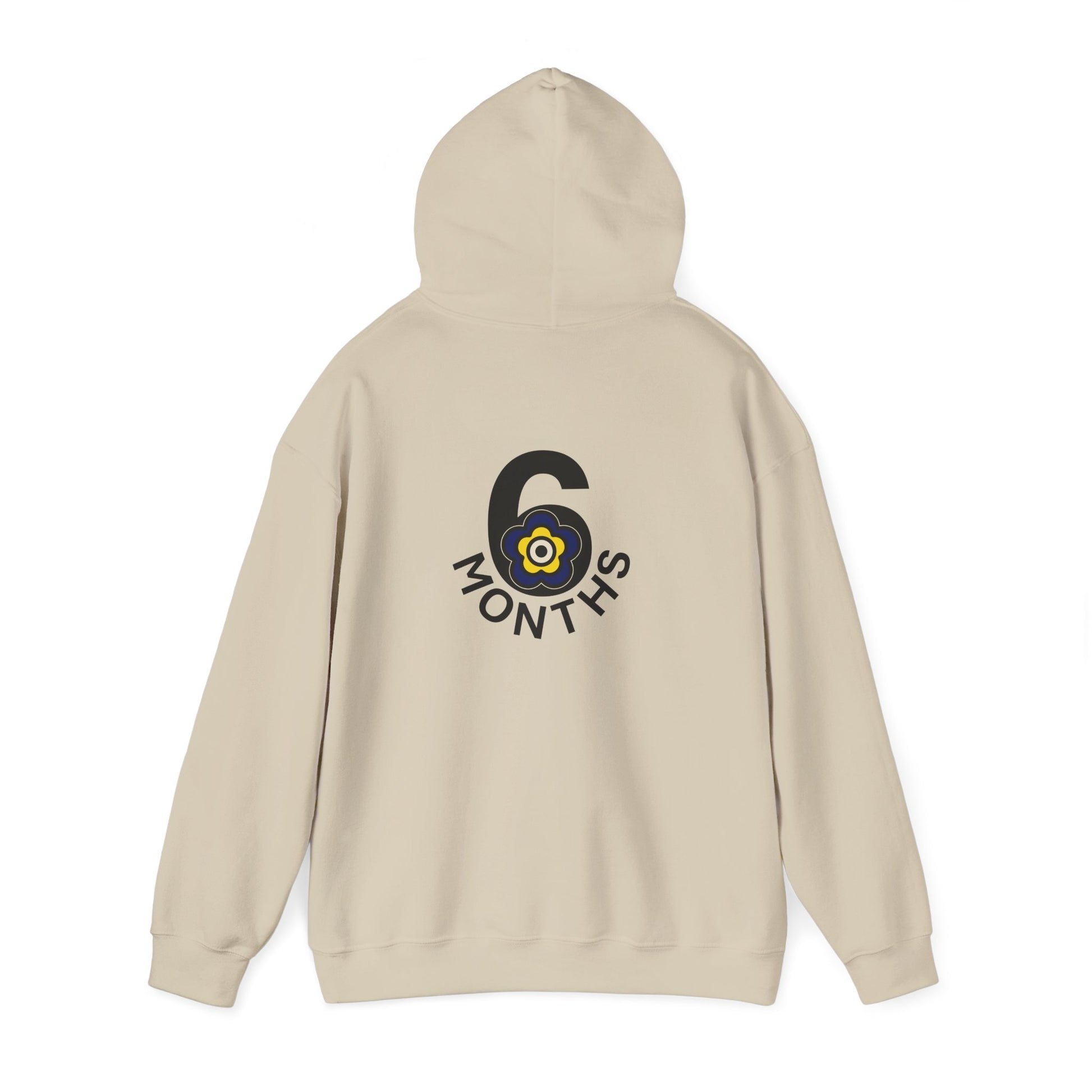 P🌺🌺P2Poppies 6 Months Sober Hoodie – Recovery Milestone Sweatshirt