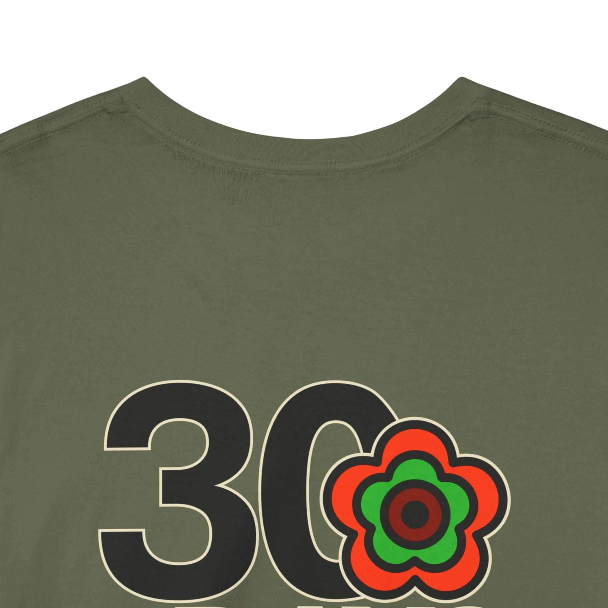 P🌺🌺P2Poppies 30 Days Sober – Motivational Recovery T-Shirt