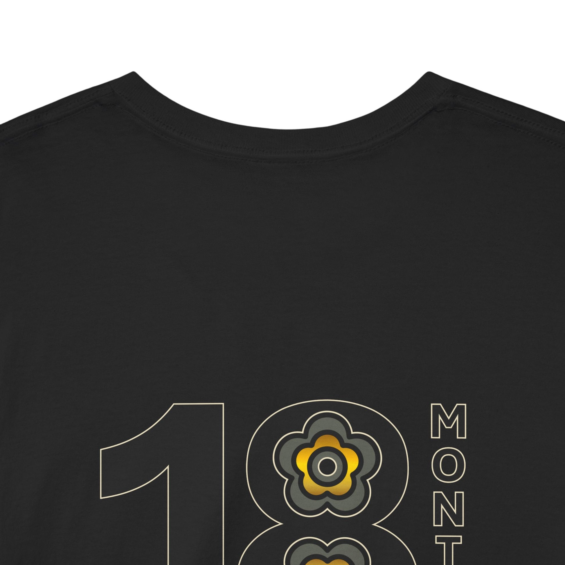 P🌺🌺P2Poppies 18 Months Sober – Motivational Recovery T-Shirt