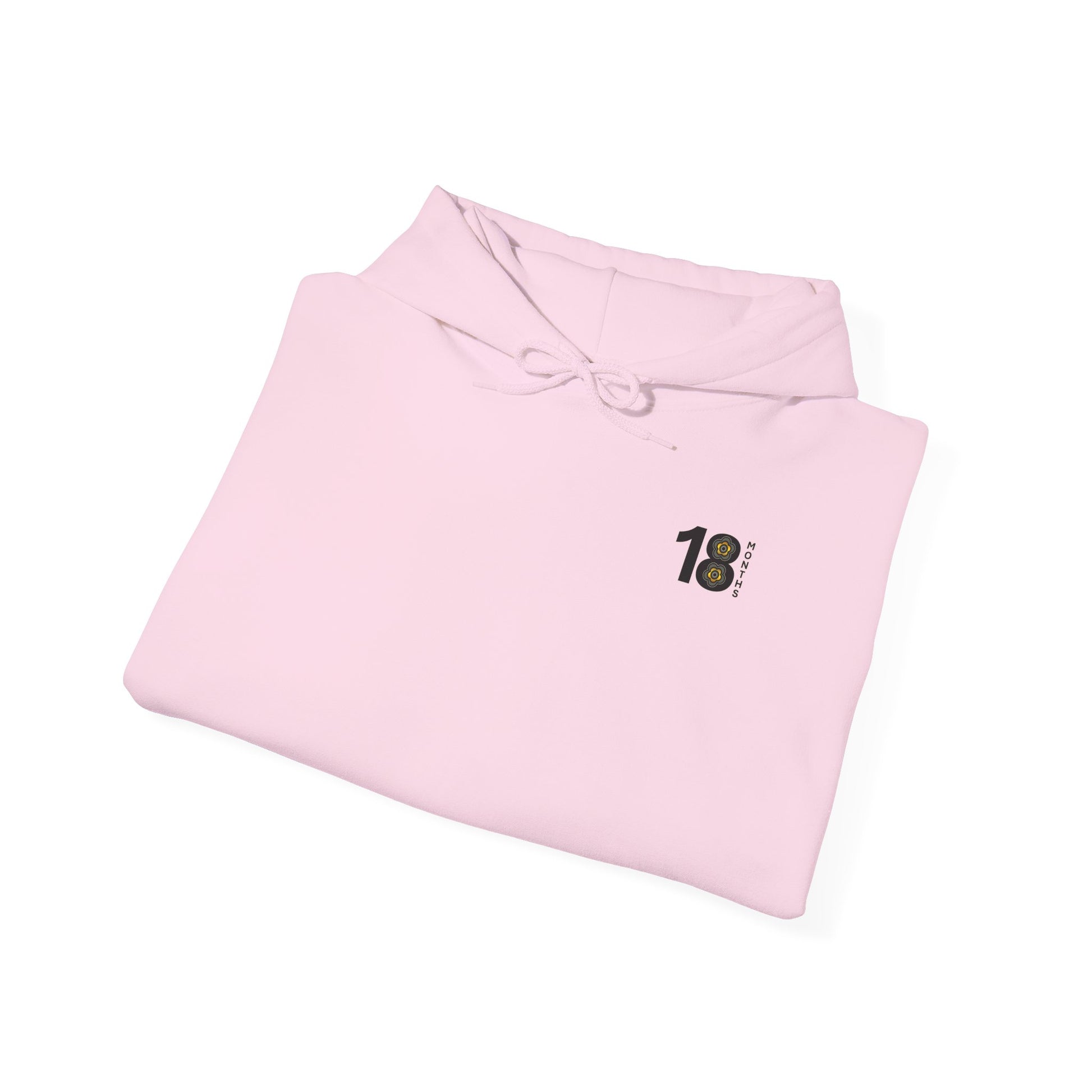 P🌺🌺P2Poppies 18 Months Sober Hoodie – Recovery Milestone Sweatshirt