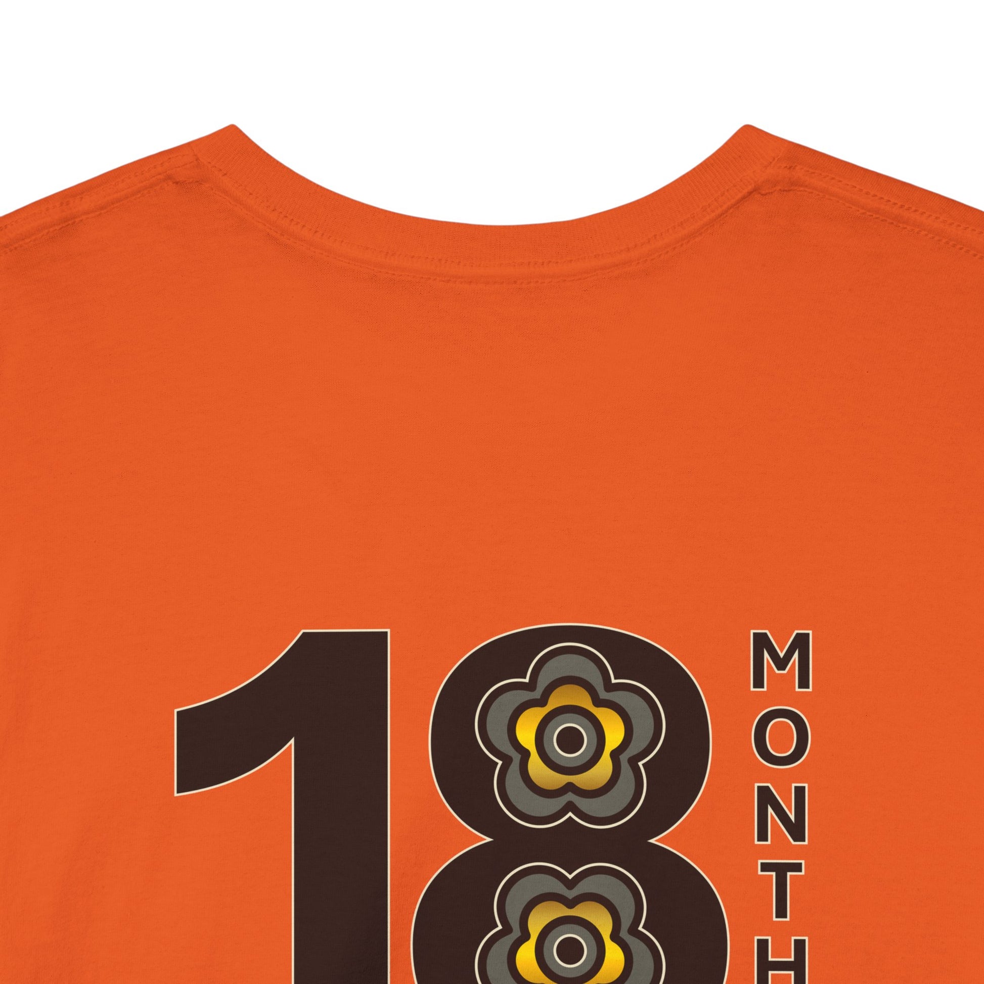 P🌺🌺P2Poppies 18 Months Sober – Motivational Recovery T-Shirt