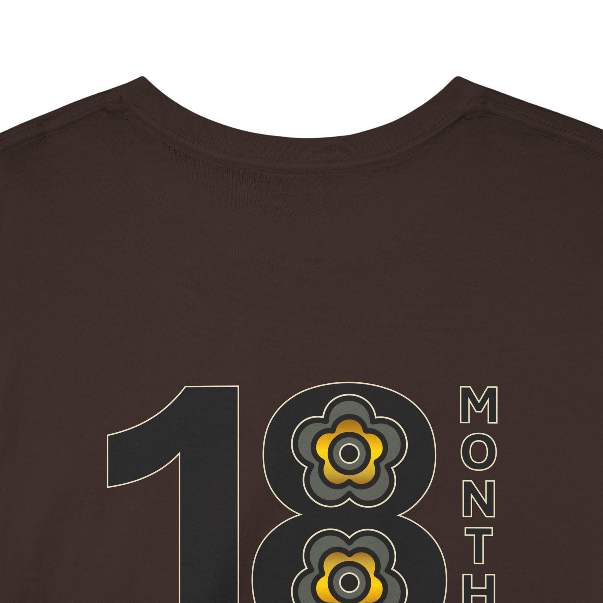 P🌺🌺P2Poppies 18 Months Sober – Motivational Recovery T-Shirt