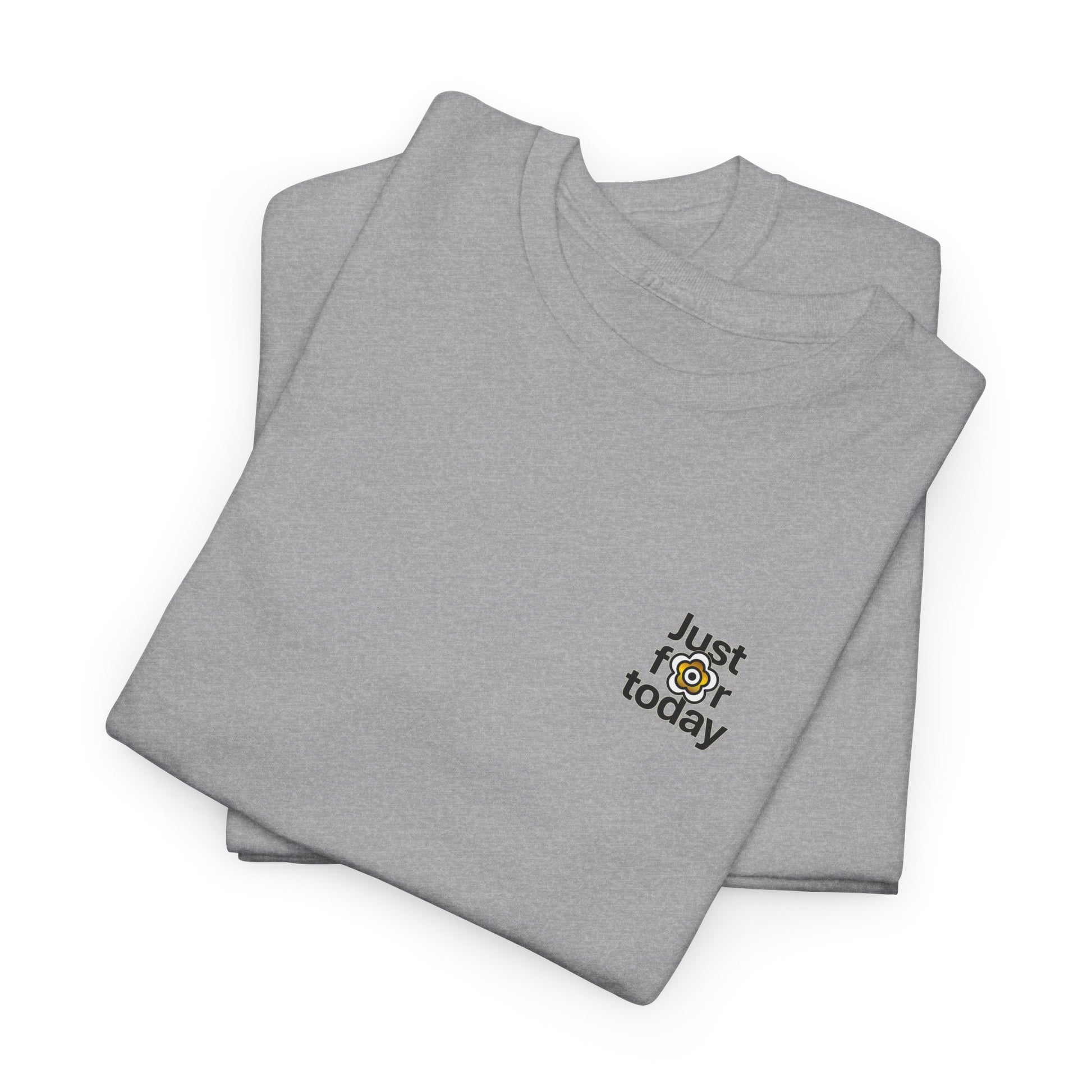 P🌺🌺P2Poppies Just for Today – Motivational Recovery T-Shirt