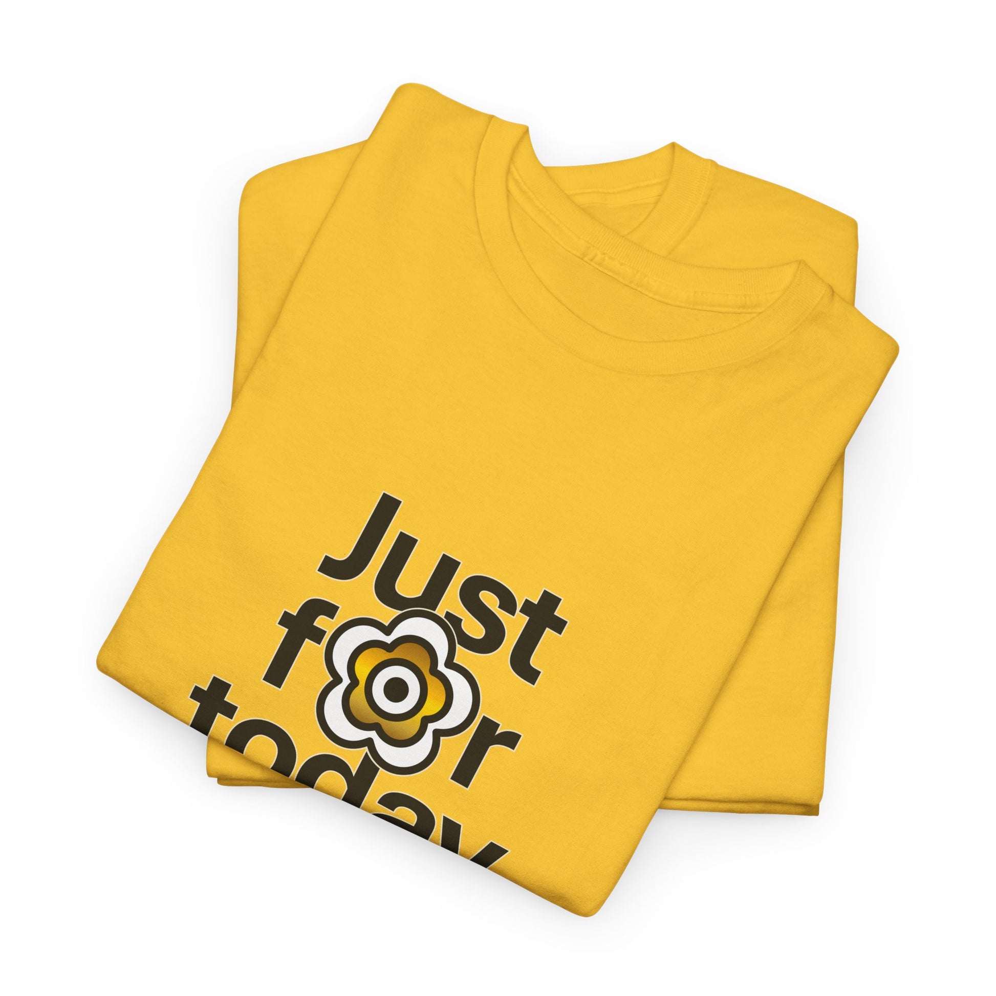 P🌺🌺P2Poppies Just for Today – Motivational Recovery T-Shirt