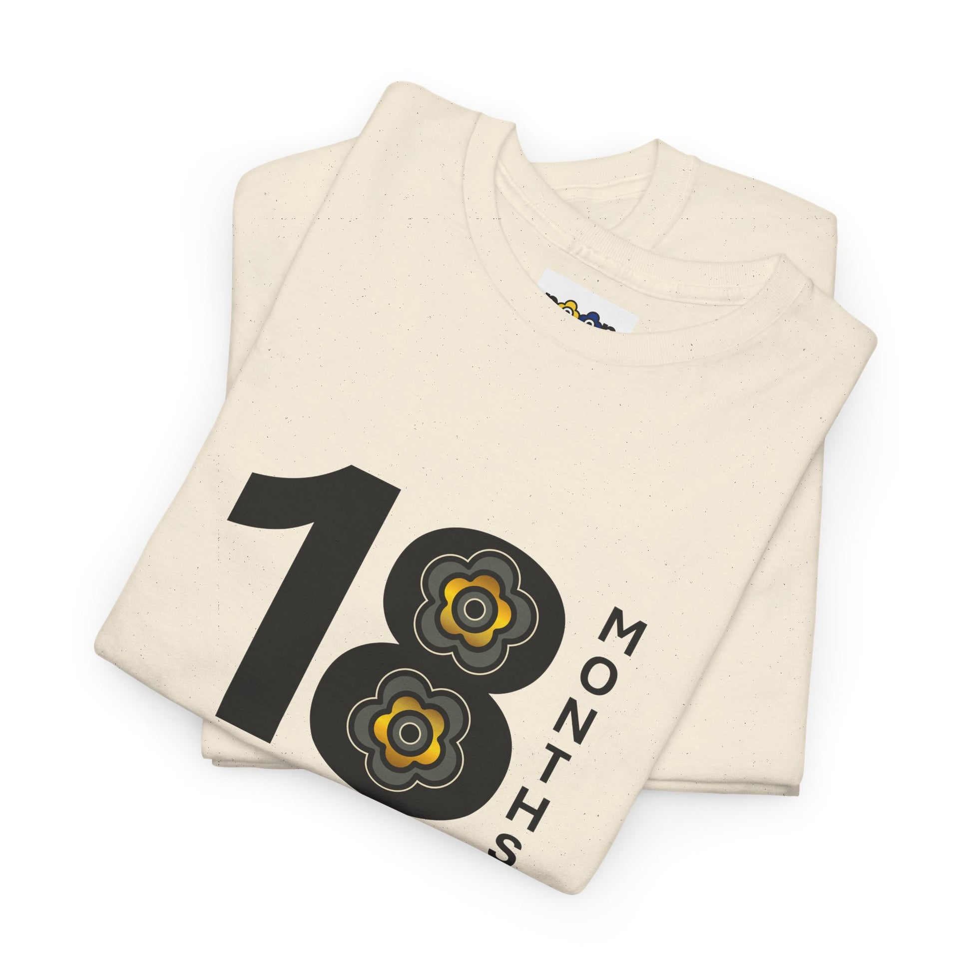 P🌺🌺P2Poppies 18 Months Sober – Motivational Recovery T-Shirt