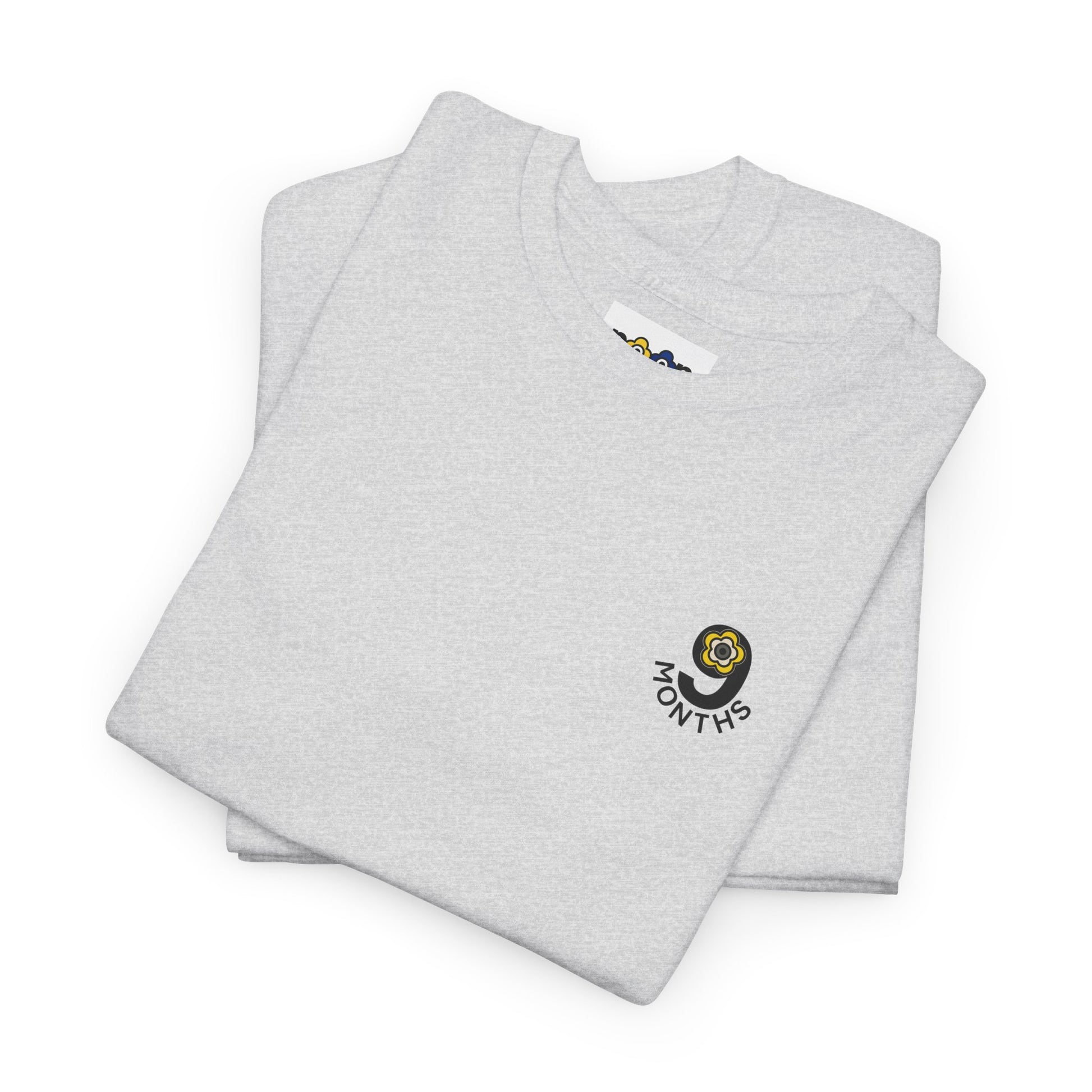 P🌺🌺P2Poppies 9 Months Sober – Motivational Recovery T-Shirt