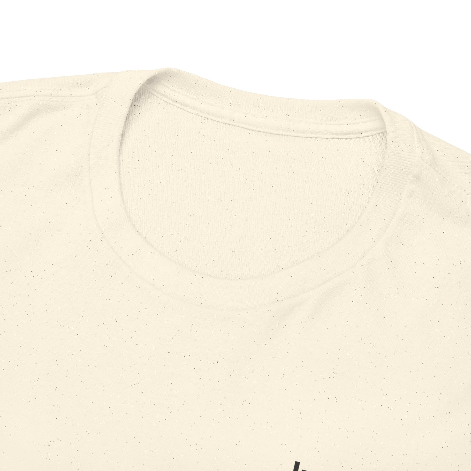 P🌺🌺P2Poppies Just for Today – Motivational Recovery T-Shirt