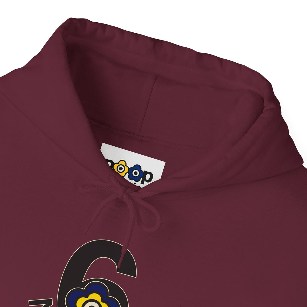 P🌺🌺P2Poppies 6 Months Sober Hoodie – Recovery Milestone Sweatshirt