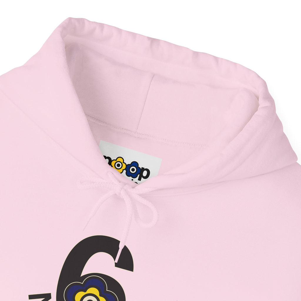 P🌺🌺P2Poppies 6 Months Sober Hoodie – Recovery Milestone Sweatshirt