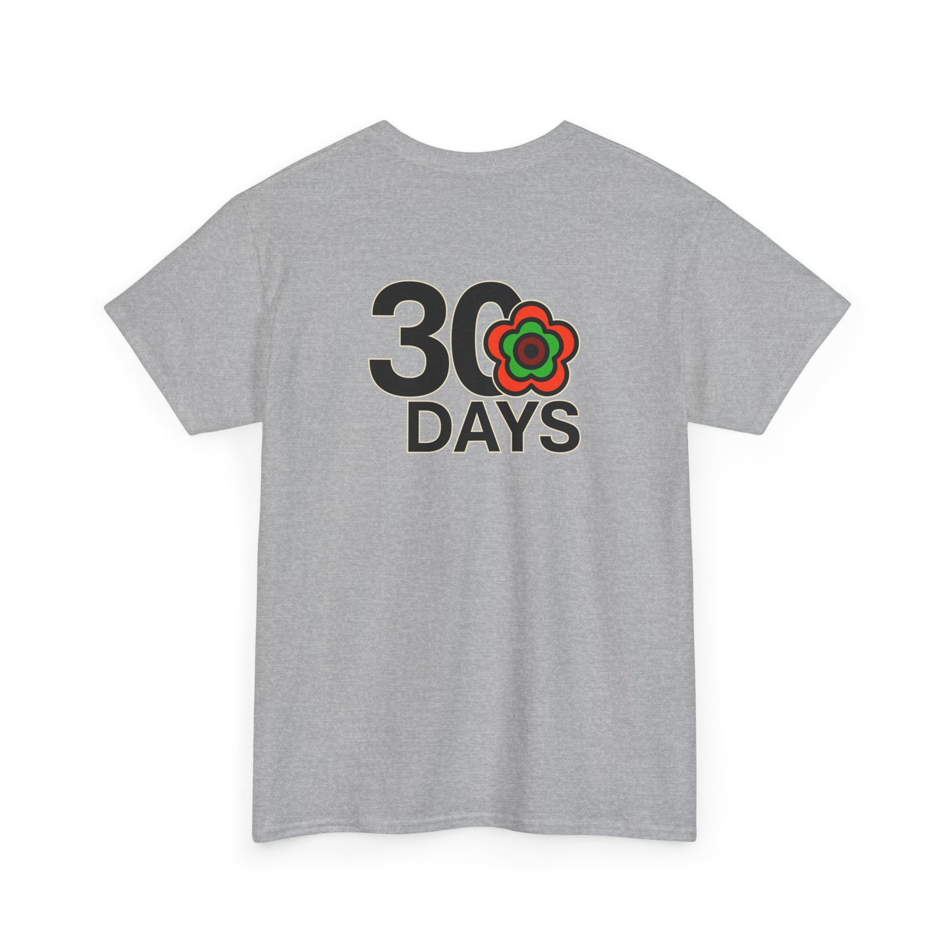 P🌺🌺P2Poppies 30 Days Sober – Motivational Recovery T-Shirt