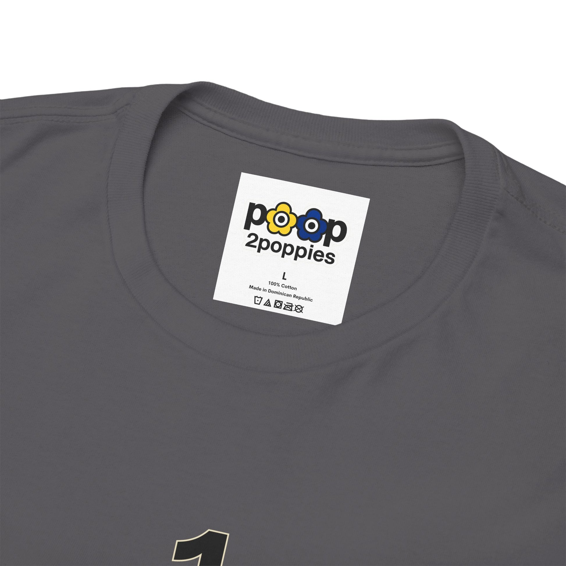 P🌺🌺P2Poppies 1 Year Sober – Motivational Recovery T-Shirt