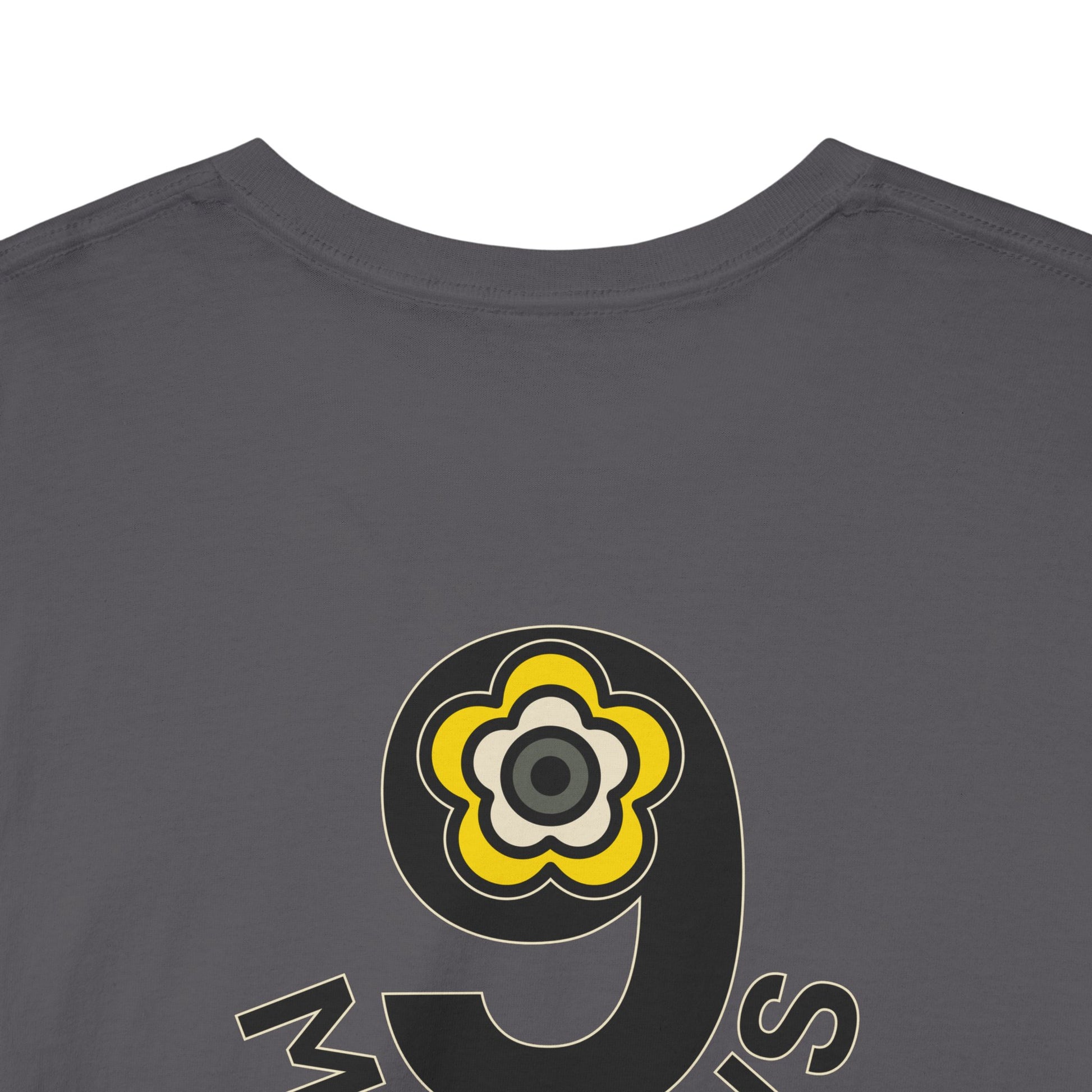 P🌺🌺P2Poppies 9 Months Sober – Motivational Recovery T-Shirt