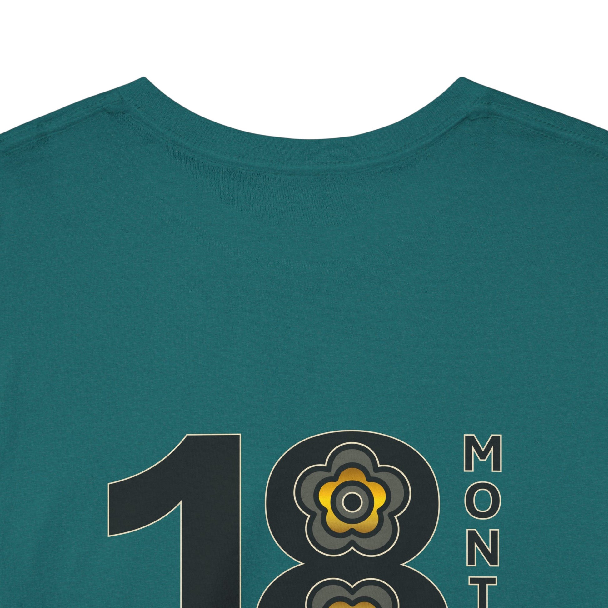 P🌺🌺P2Poppies 18 Months Sober – Motivational Recovery T-Shirt