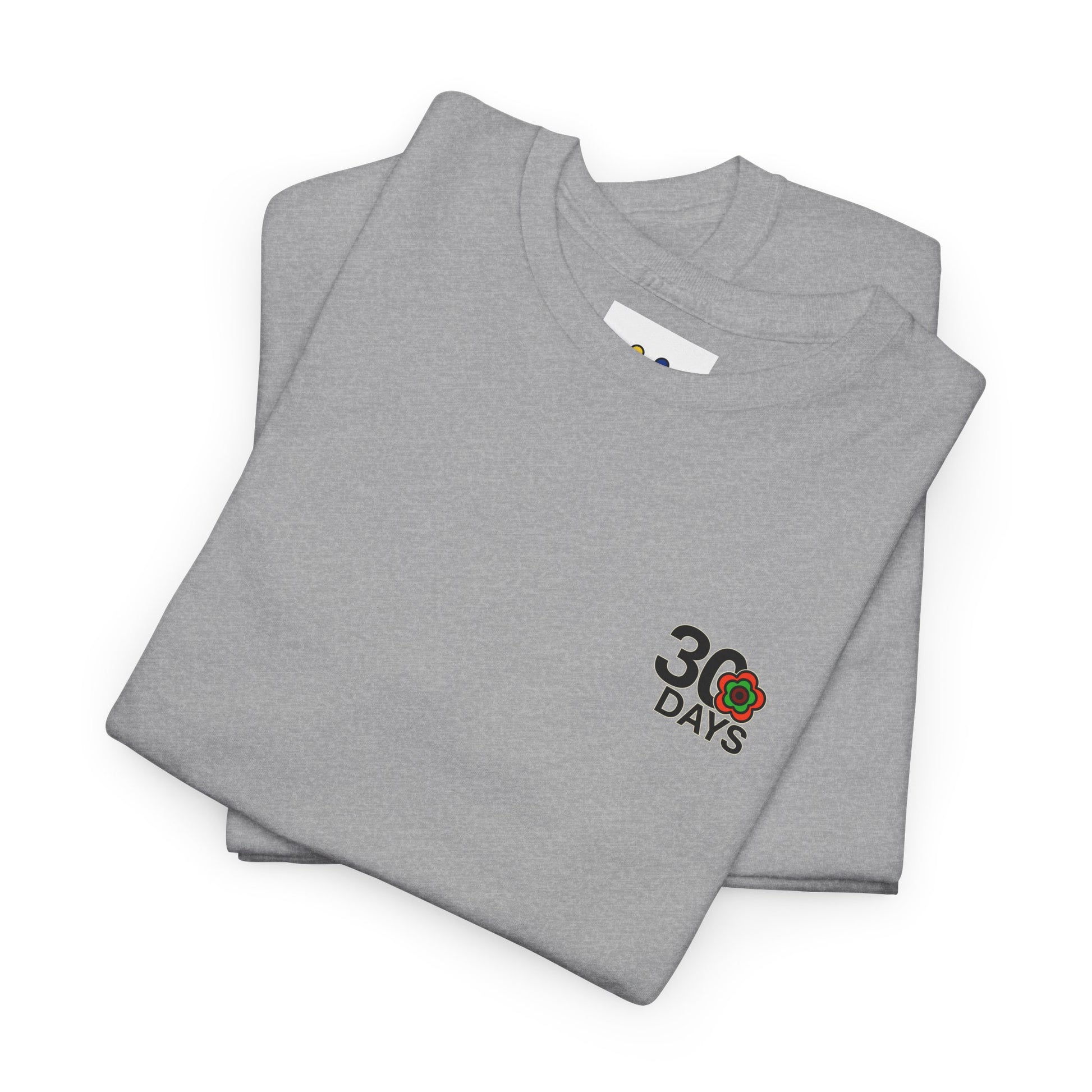 P🌺🌺P2Poppies 30 Days Sober – Motivational Recovery T-Shirt