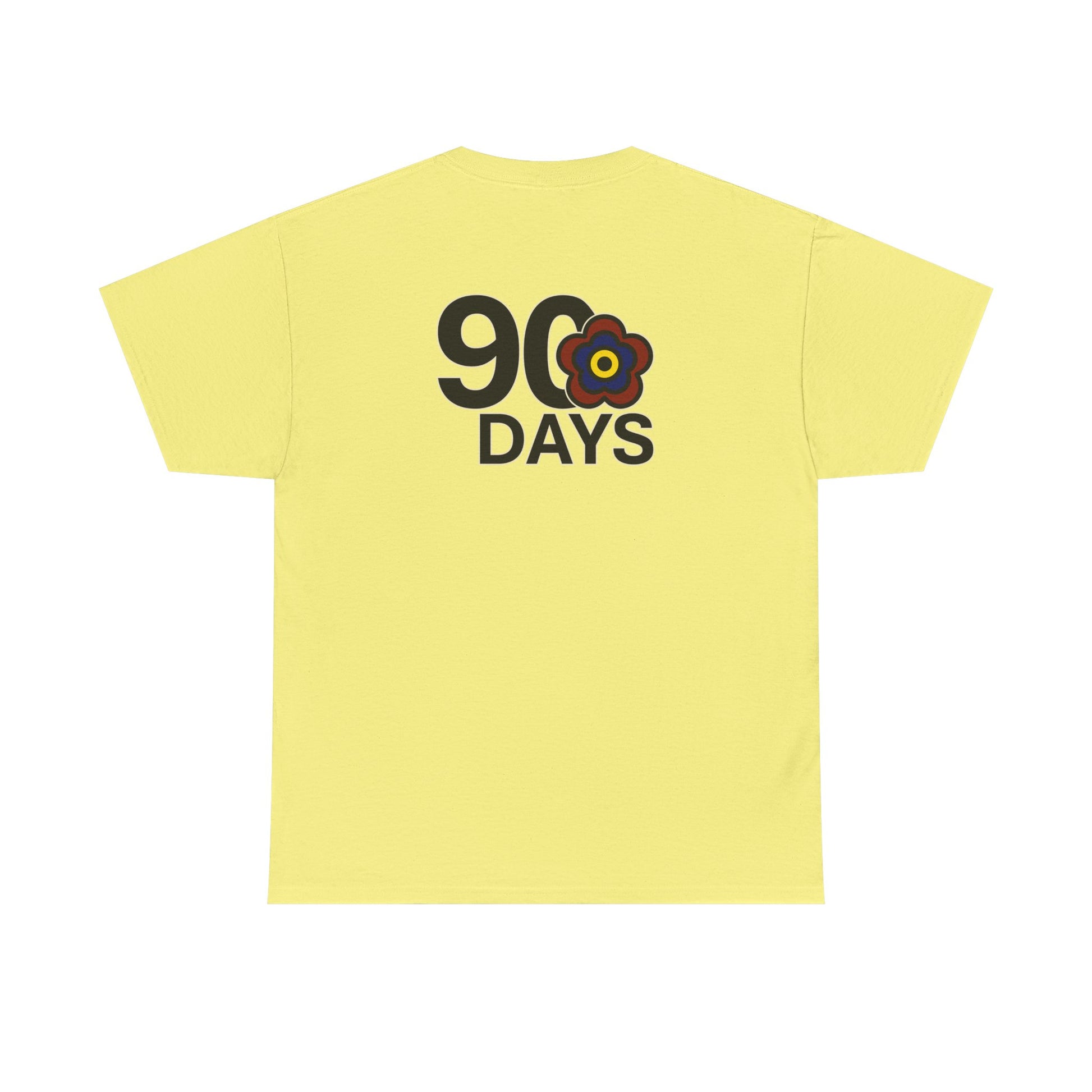 P🌺🌺P2Poppies 90 Days Sober – Motivational Recovery T-Shirt