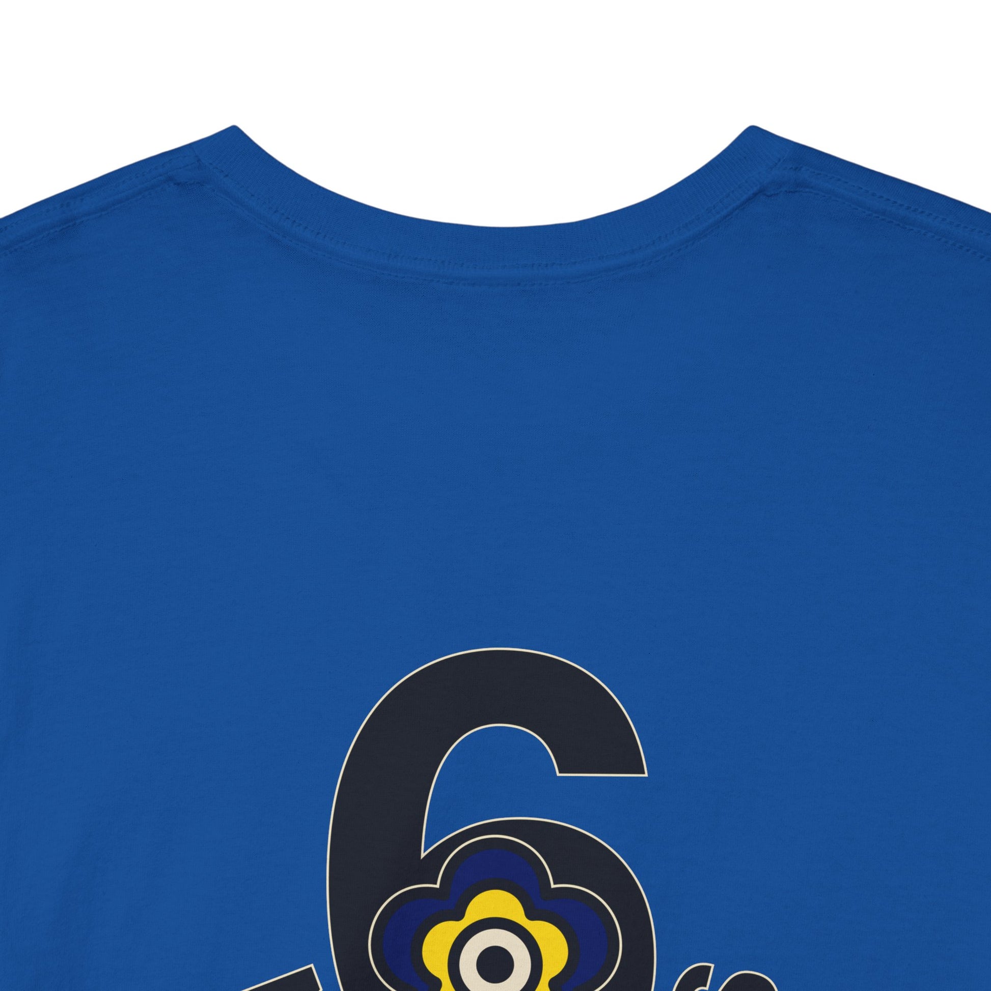 P🌺🌺P2Poppies 6 Months Sober – Motivational Recovery T-Shirt