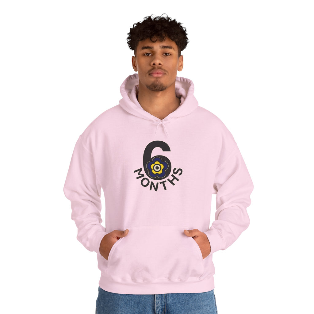 P🌺🌺P2Poppies 6 Months Sober Hoodie – Recovery Milestone Sweatshirt