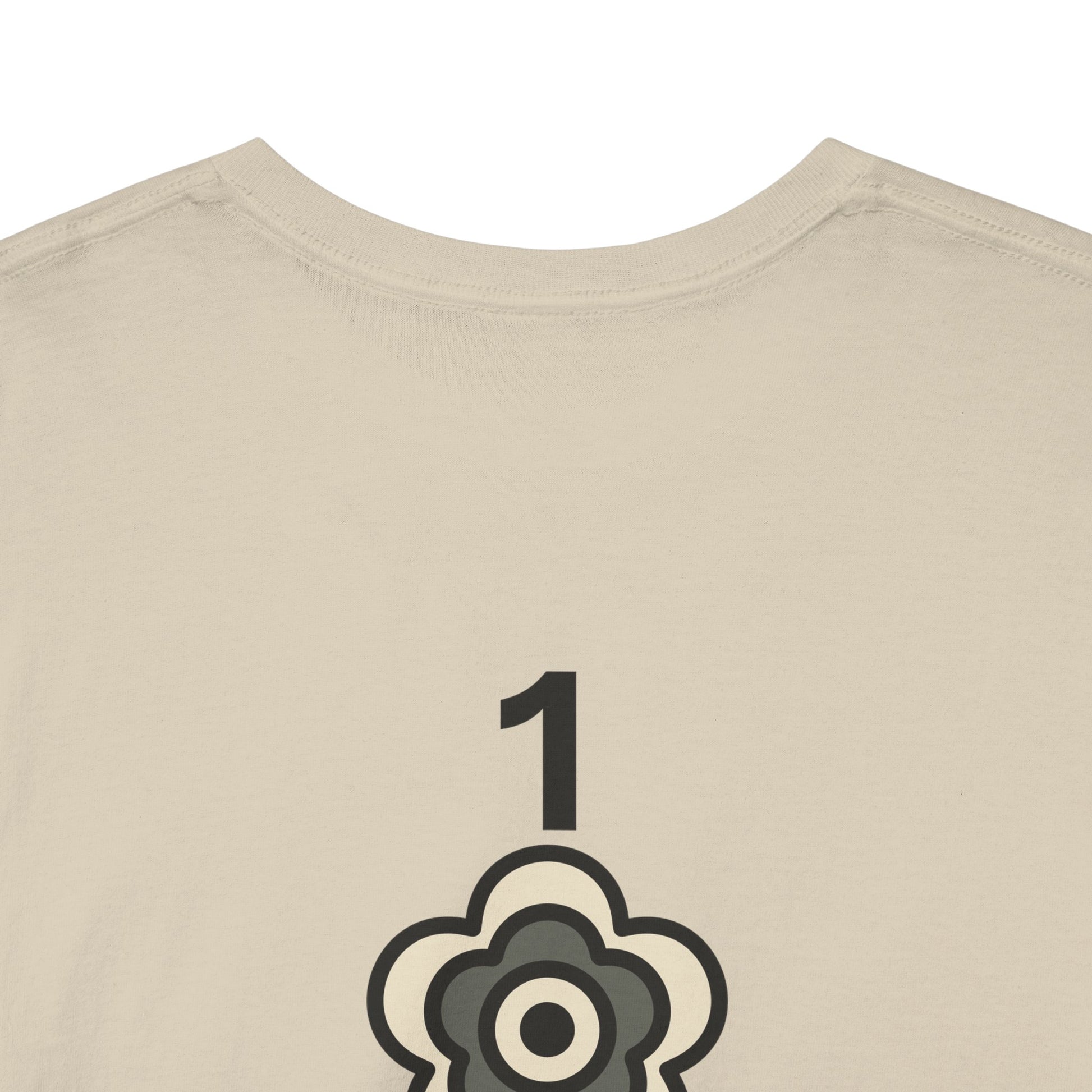 P🌺🌺P2Poppies 1 Year Sober – Motivational Recovery T-Shirt