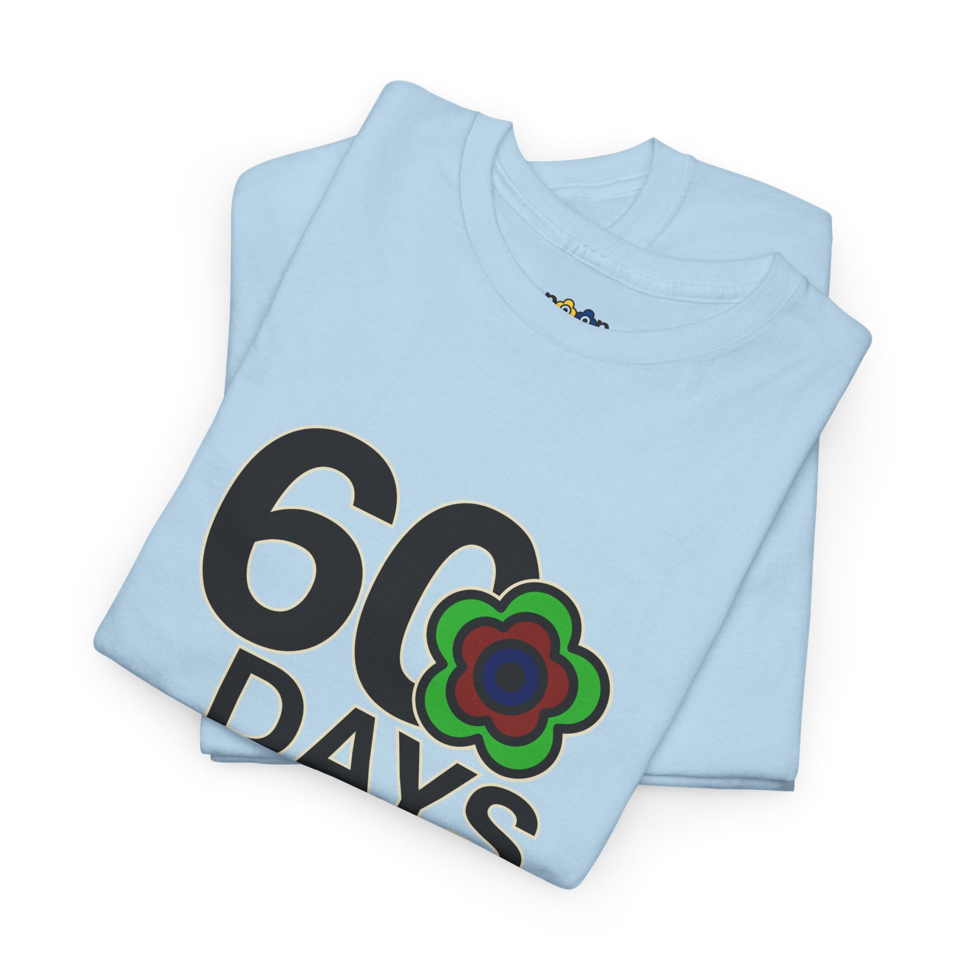 P🌺🌺P2Poppies 60 Days Sober – Motivational Recovery T-Shirt