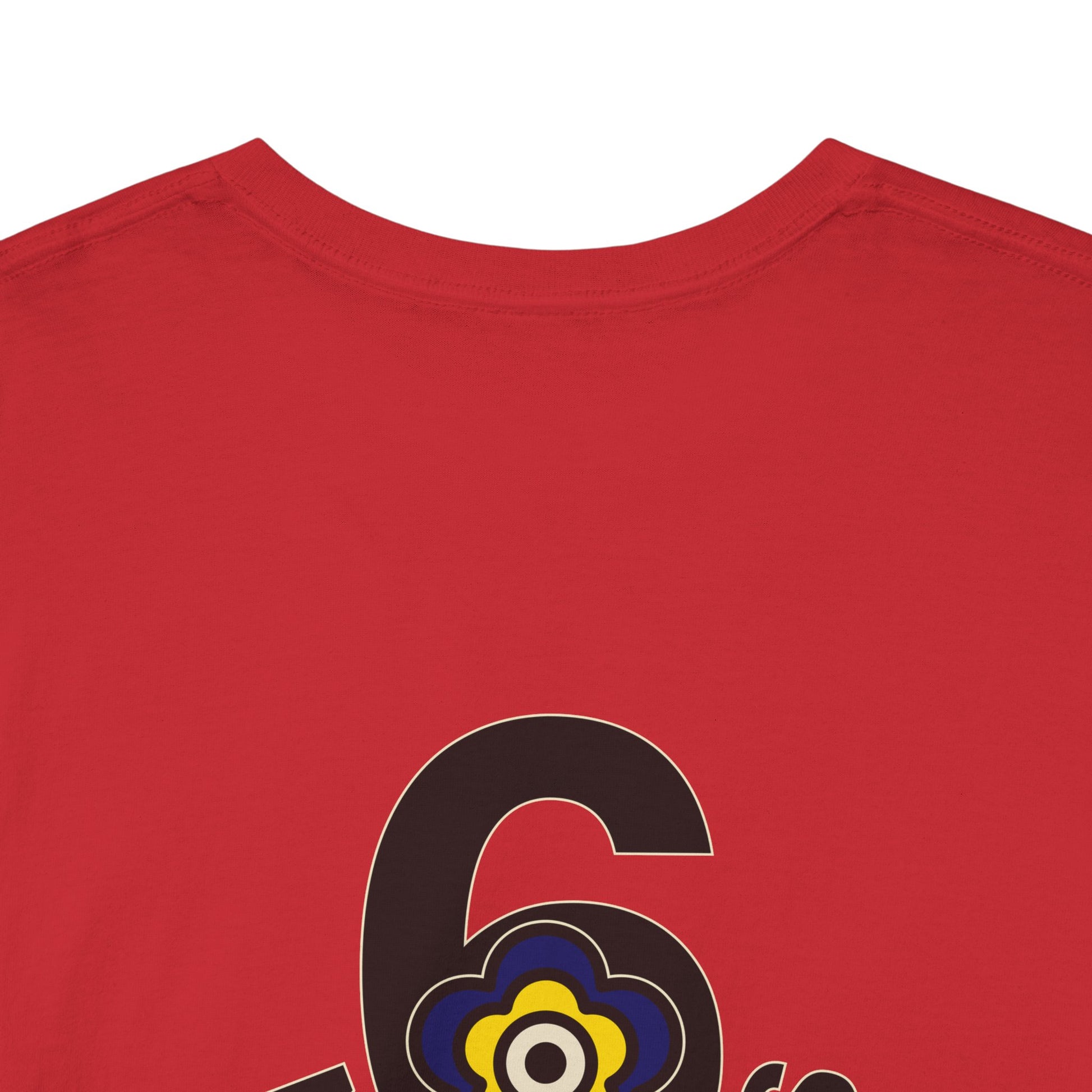 P🌺🌺P2Poppies 6 Months Sober – Motivational Recovery T-Shirt