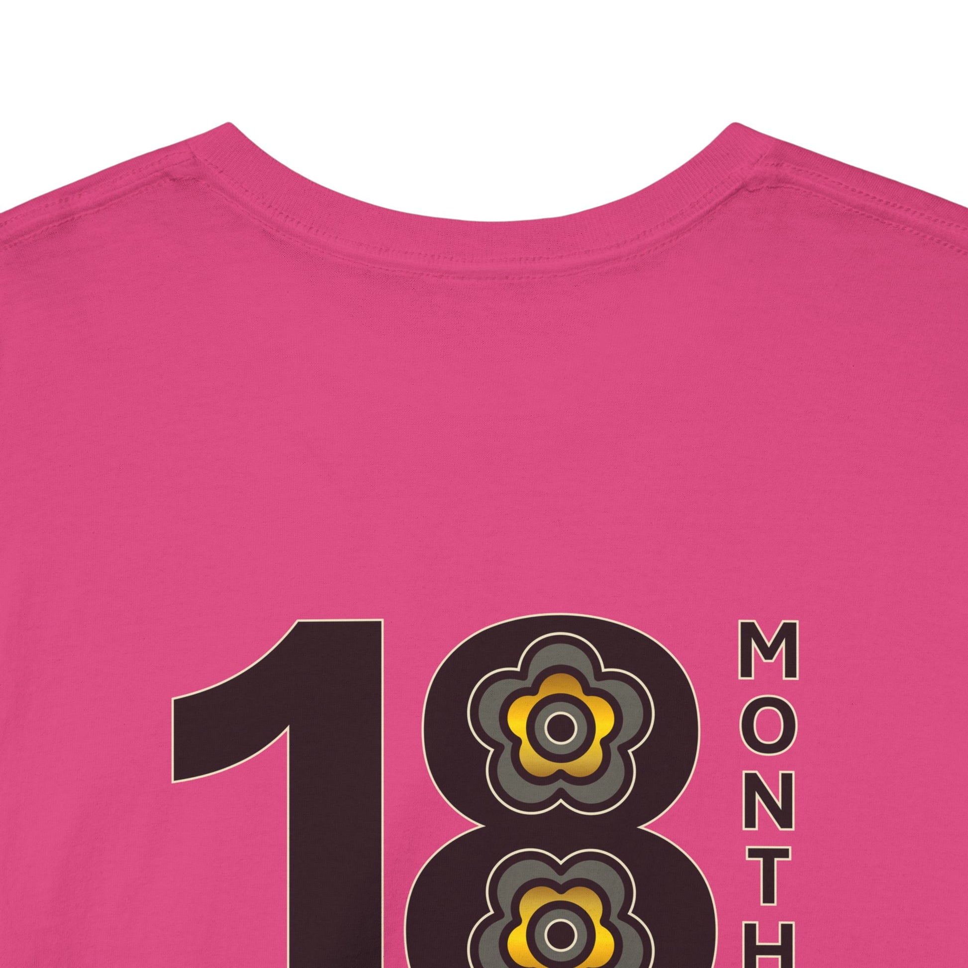 P🌺🌺P2Poppies 18 Months Sober – Motivational Recovery T-Shirt