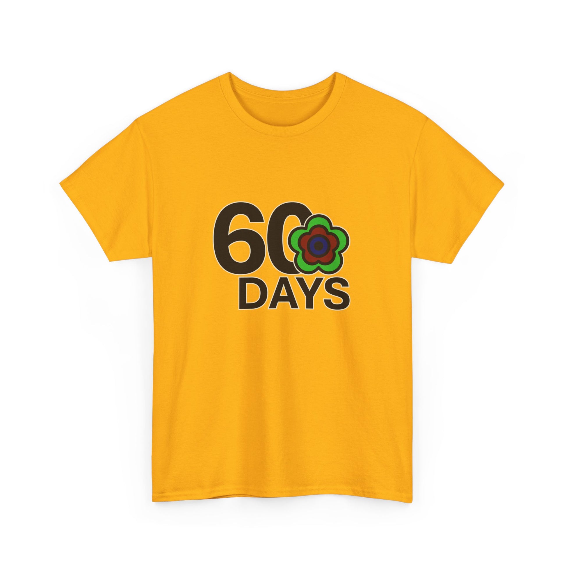 P🌺🌺P2Poppies 60 Days Sober – Motivational Recovery T-Shirt