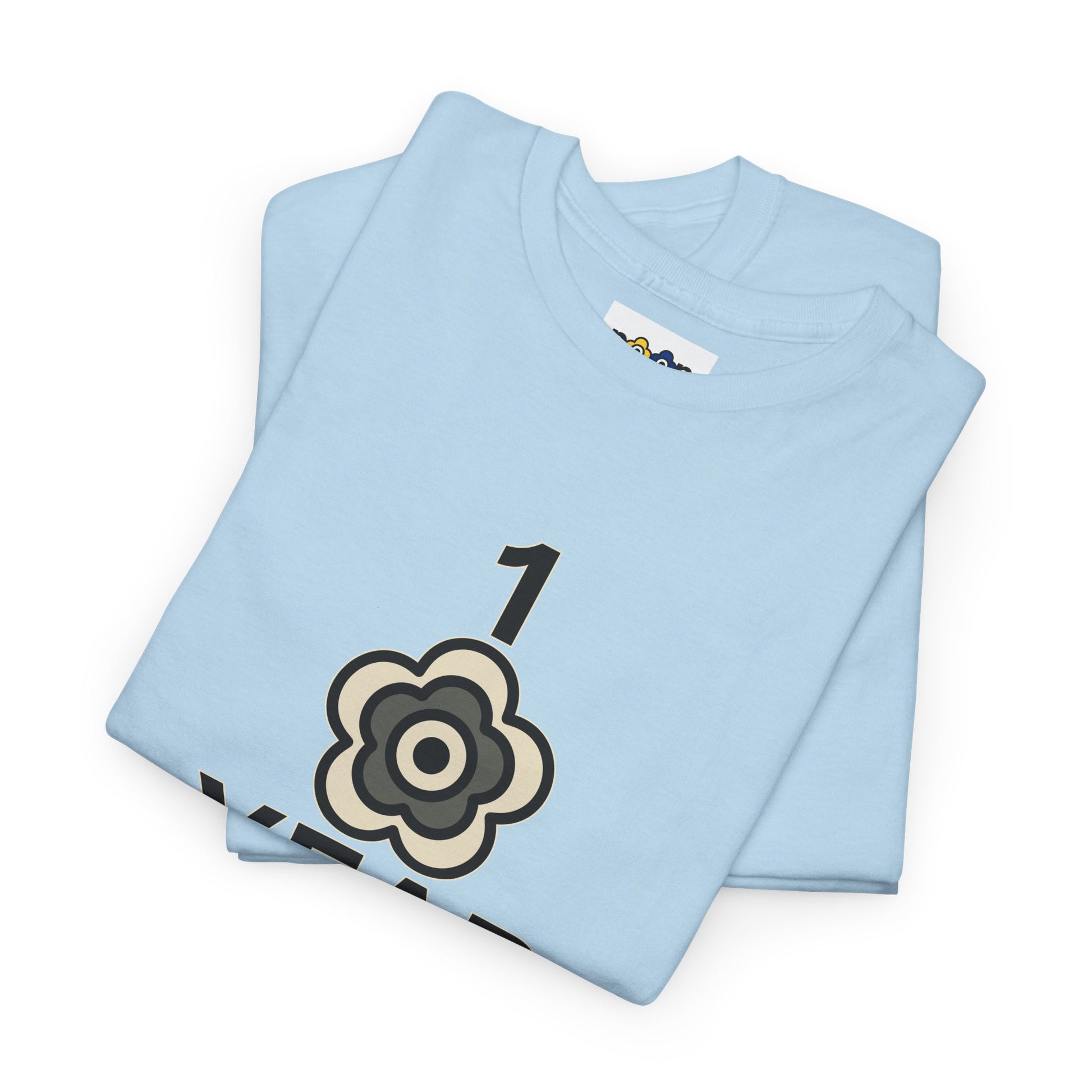 P🌺🌺P2Poppies 1 Year Sober – Motivational Recovery T-Shirt