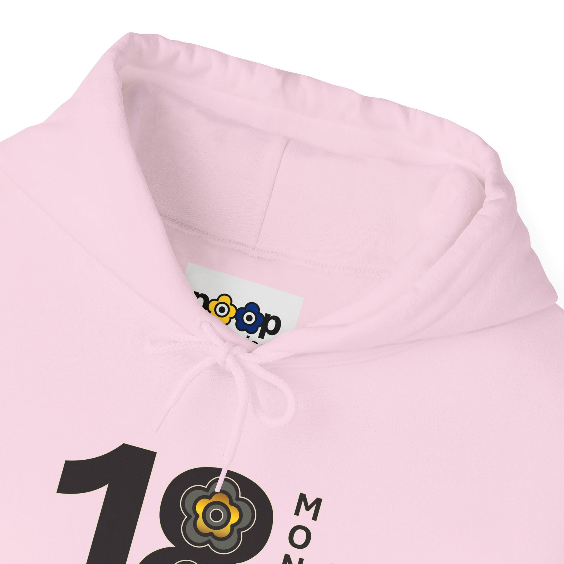 P🌺🌺P2Poppies 18 Months Sober Hoodie – Recovery Milestone Sweatshirt