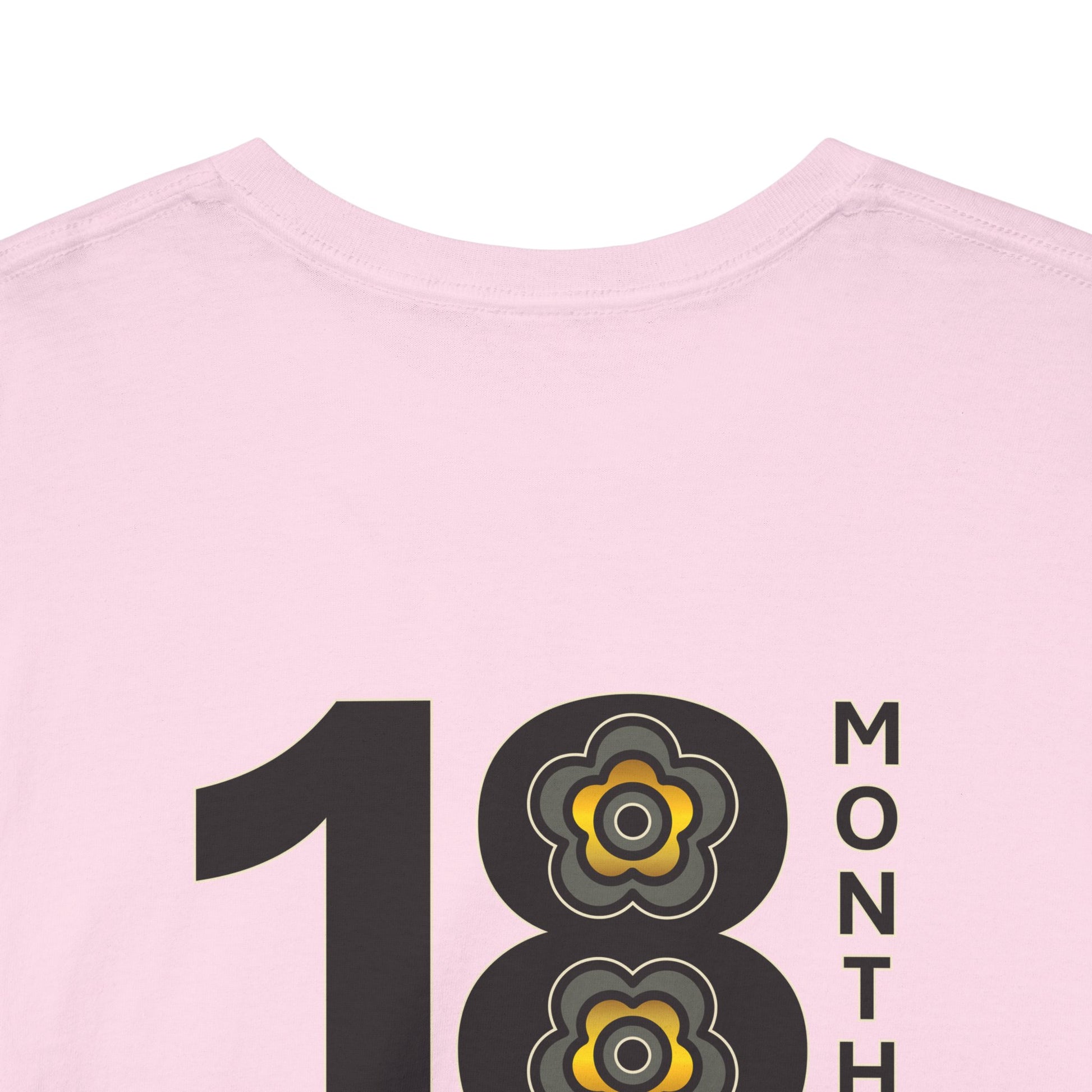 P🌺🌺P2Poppies 18 Months Sober – Motivational Recovery T-Shirt