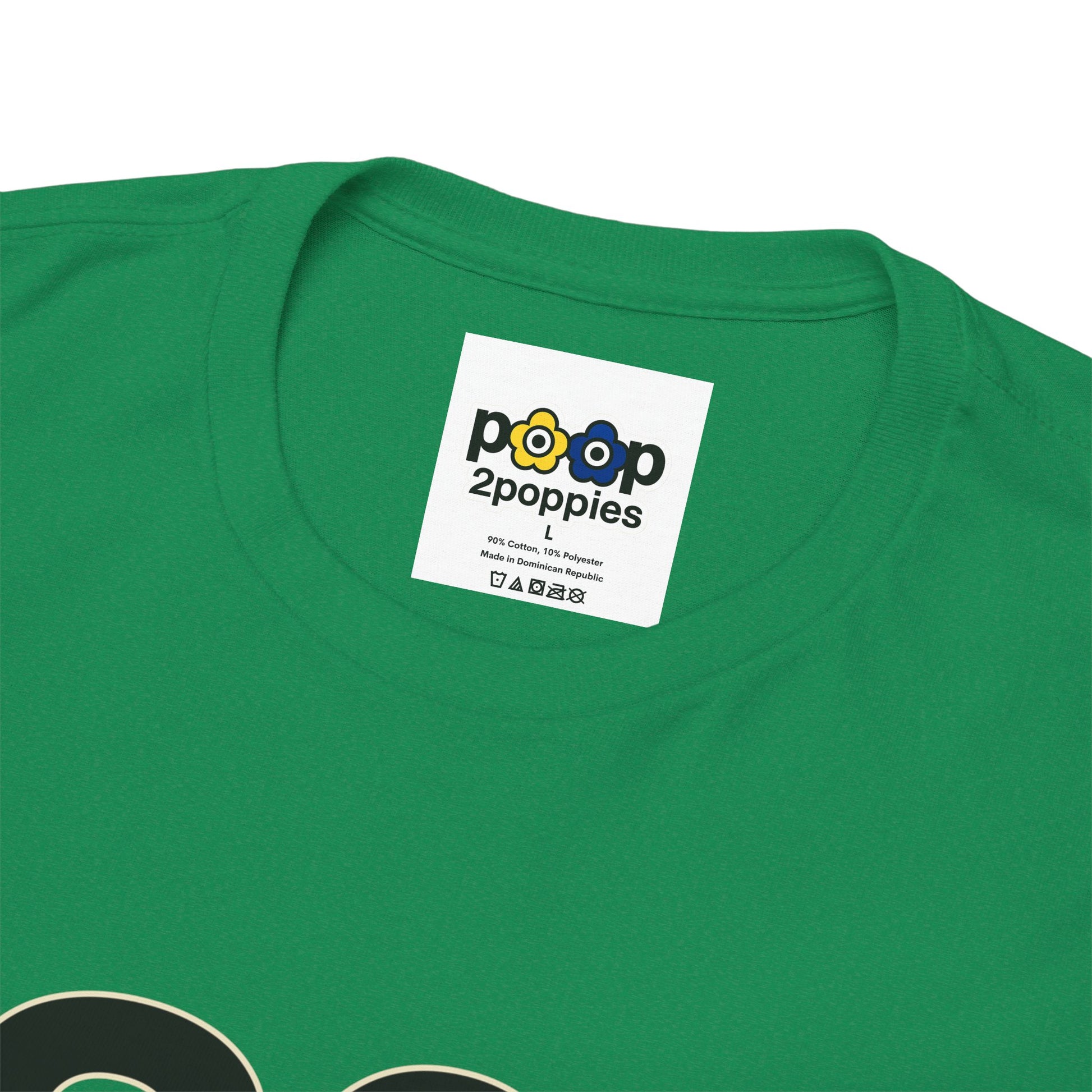 P🌺🌺P2Poppies 30 Days Sober – Motivational Recovery T-Shirt