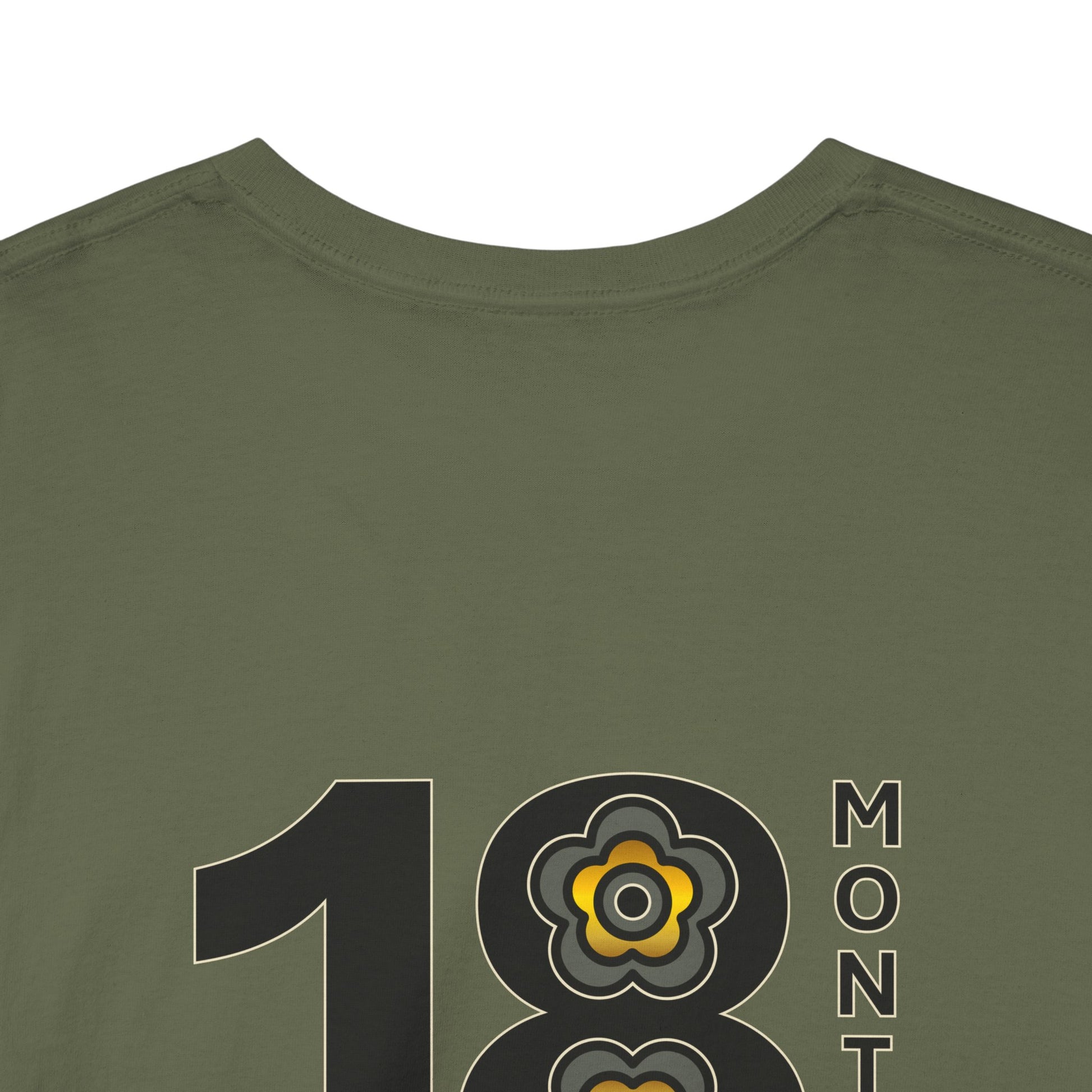 P🌺🌺P2Poppies 18 Months Sober – Motivational Recovery T-Shirt